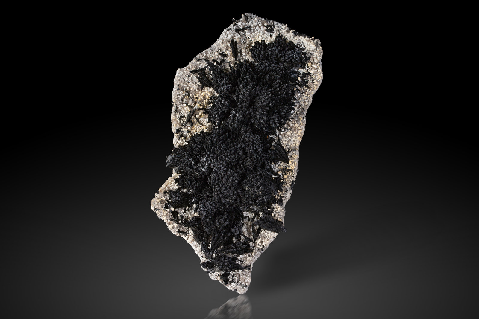 Schorlo (Chorlo)
12 x 25.5 x 6.5 cm / cristal principal: 3 cm
(Autor: Museo MIM)