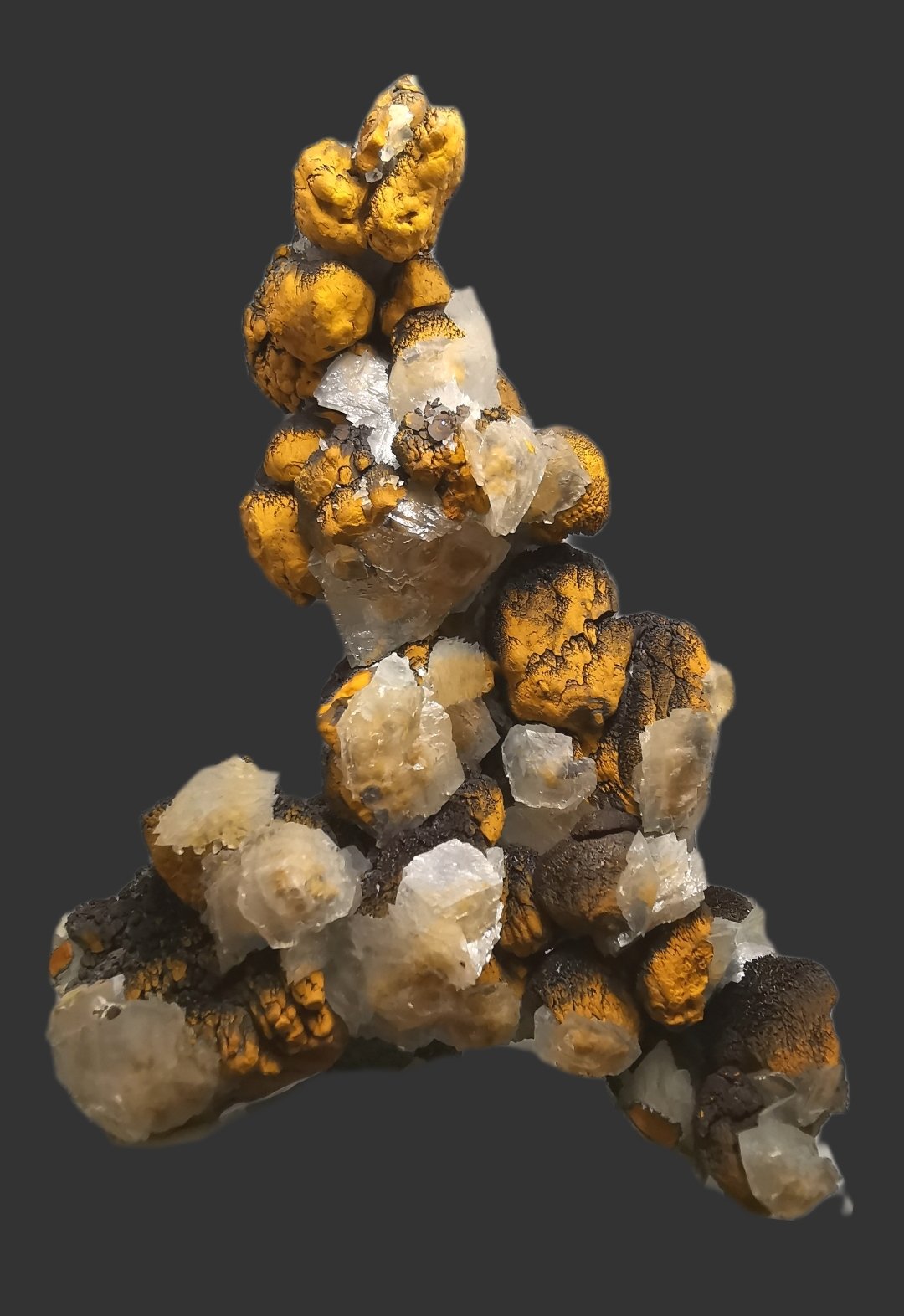 limonita, Calcita
11.5cm
(Autor: Diego Navarro)