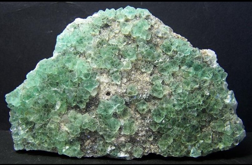 Fluorita
Pedrera Berta, Turó Can Domènech, Serra Roques Blanques, Sant Cugat del Vallès-El Papiol, Comarca Vallès Occidental / Baix Llobregat, Barcelona, Catalunya / Cataluña, España
7x5 cm
(Autor: AntonioJesus)