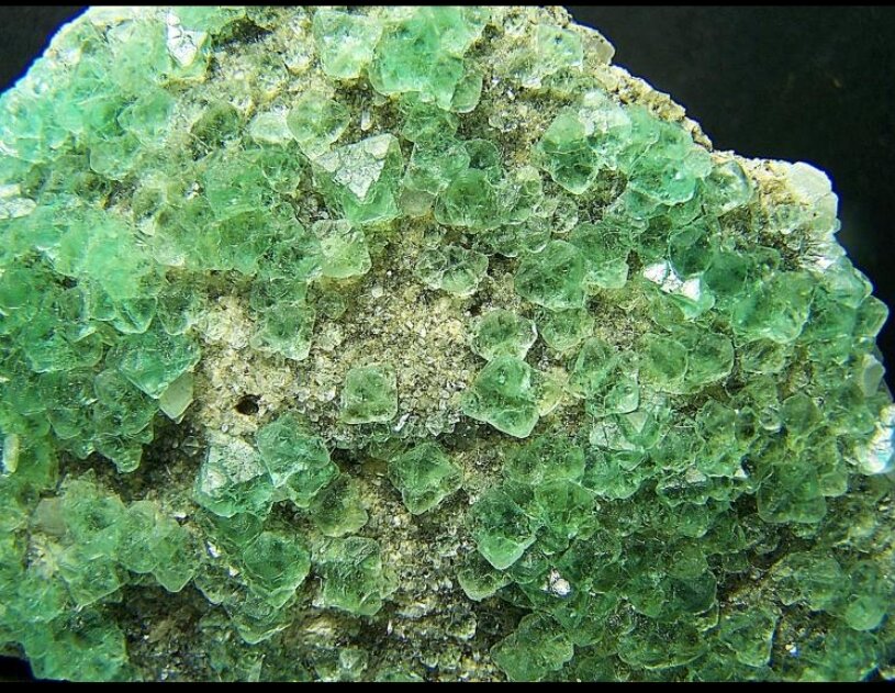 Fluorita
Pedrera Berta, Turó Can Domènech, Serra Roques Blanques, Sant Cugat del Vallès-El Papiol, Comarca Vallès Occidental / Baix Llobregat, Barcelona, Catalunya / Cataluña, España
7x5 cm
(Autor: AntonioJesus)