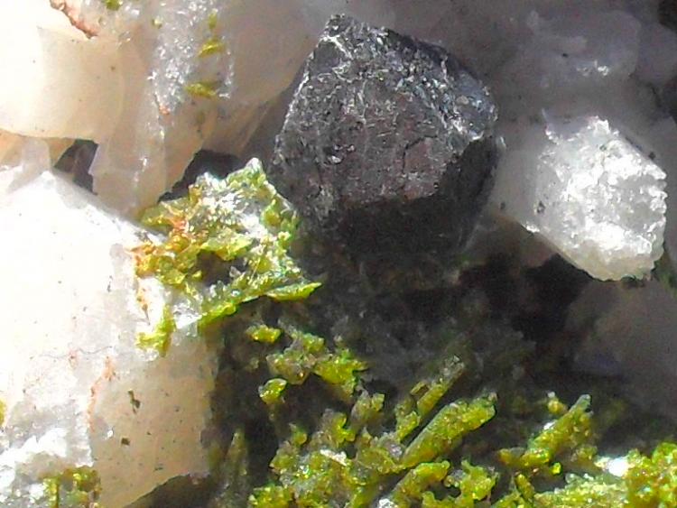 Magnetita, Epidota y Cuarzo
Cristal de Magnetita de 5 mm.
(Autor: Laureano)