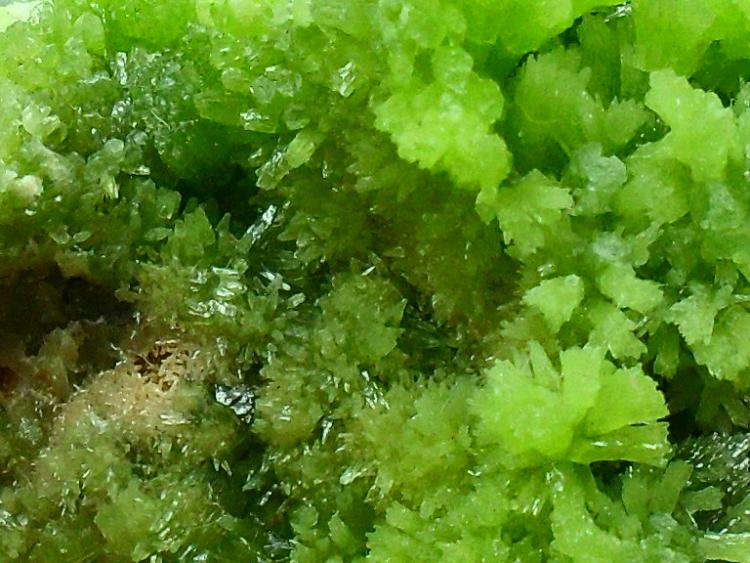 Piromorfita
Detalle de la pieza de  5x3,5 cm.
(Autor: Laureano)