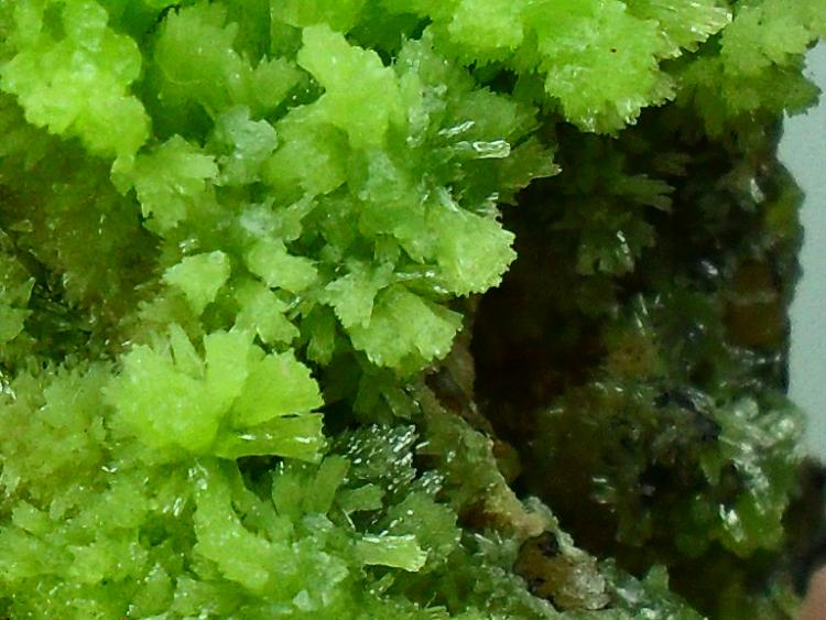 Piromorfita
Detalle de la pieza de  5x3,5 cm.
(Autor: Laureano)