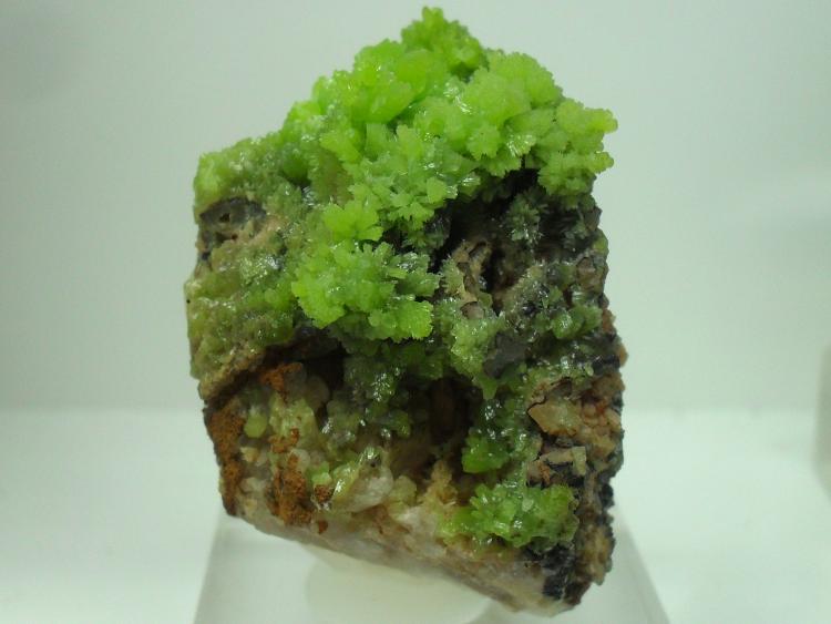 Piromorfita
5x3,5 cm.
(Autor: Laureano)