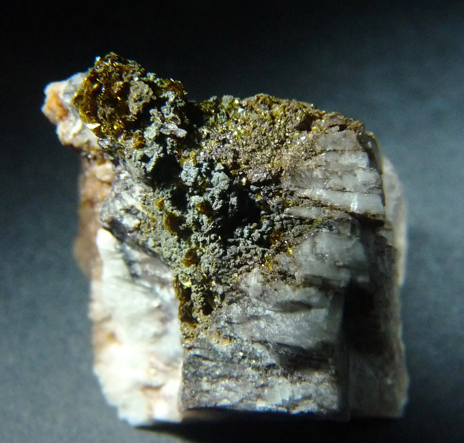 Segnitita.
30x25 mm.
(Autor: Jesus Franquesa Baucells)