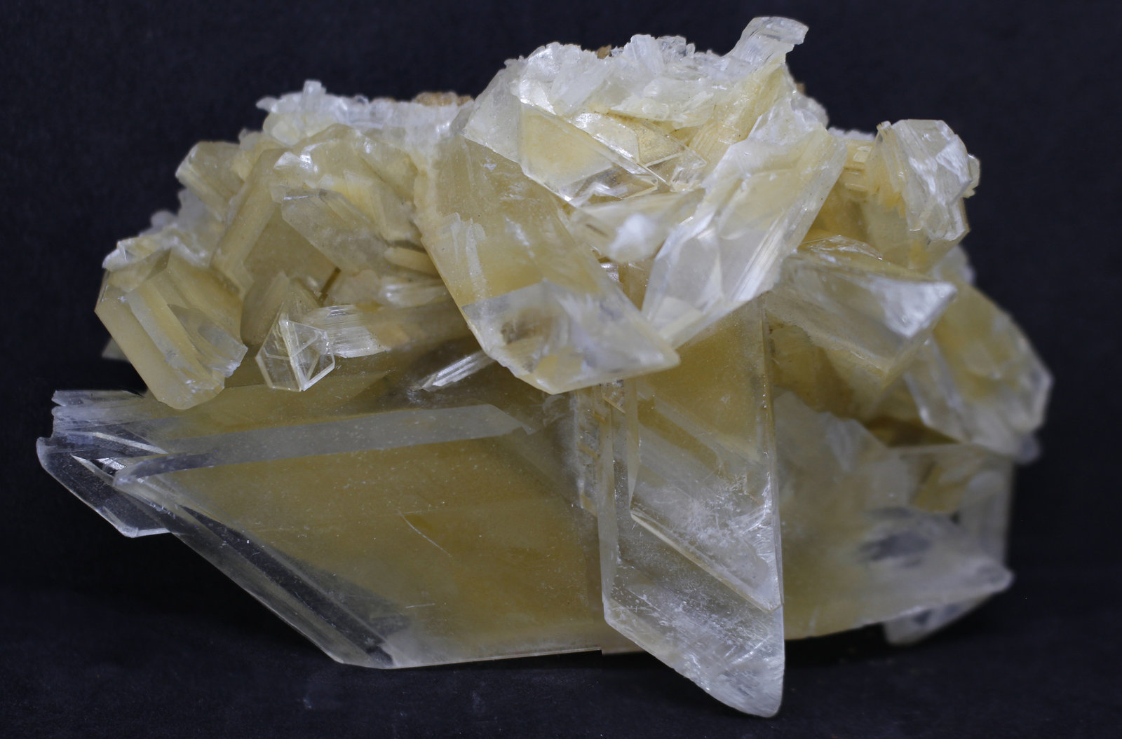 Yeso
10X5.5X0.4 cm.
(Autor: Luis Edmundo Sánchez Roja)