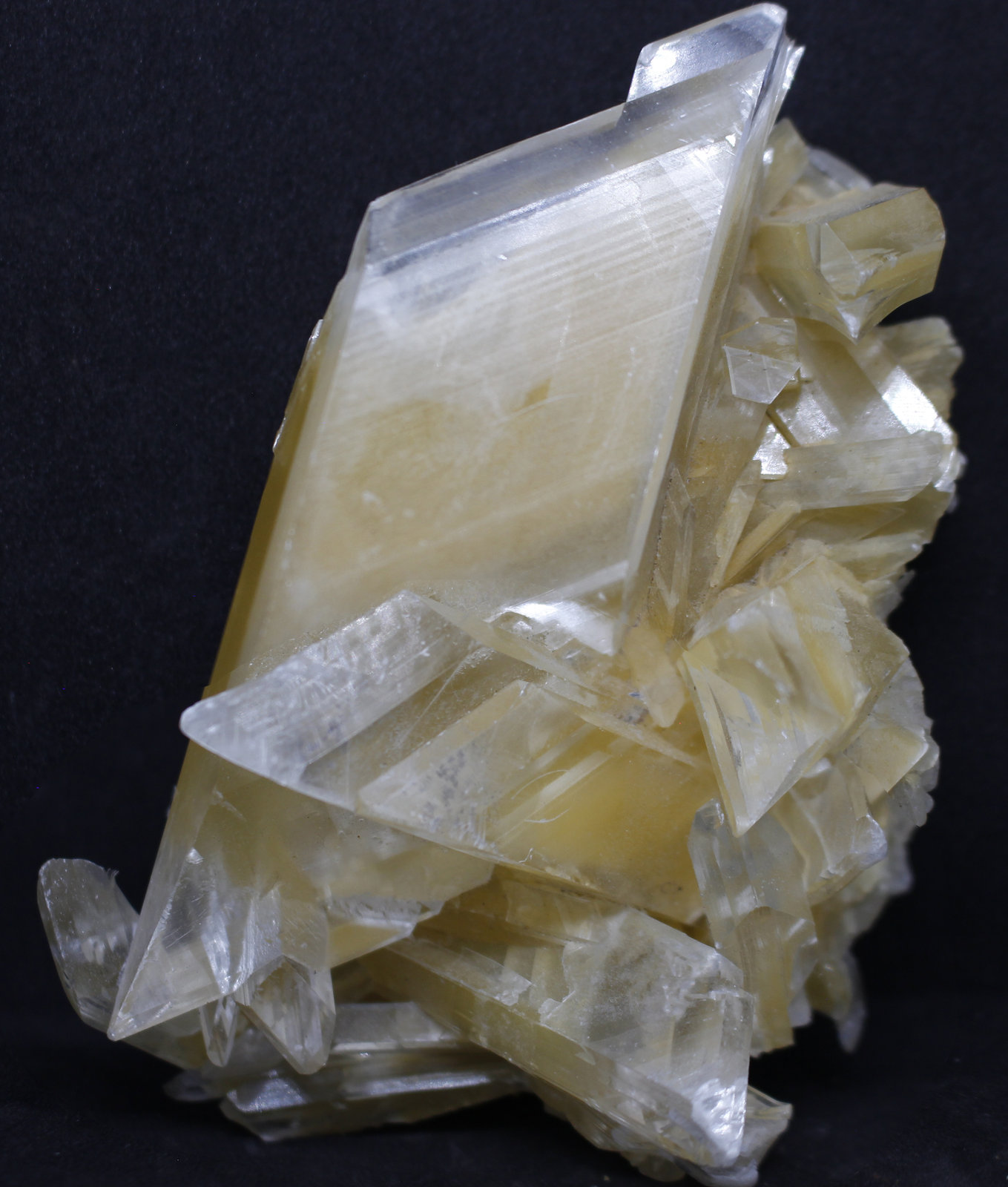 Yeso
10X5.5X0.4 cm.
(Autor: Luis Edmundo Sánchez Roja)