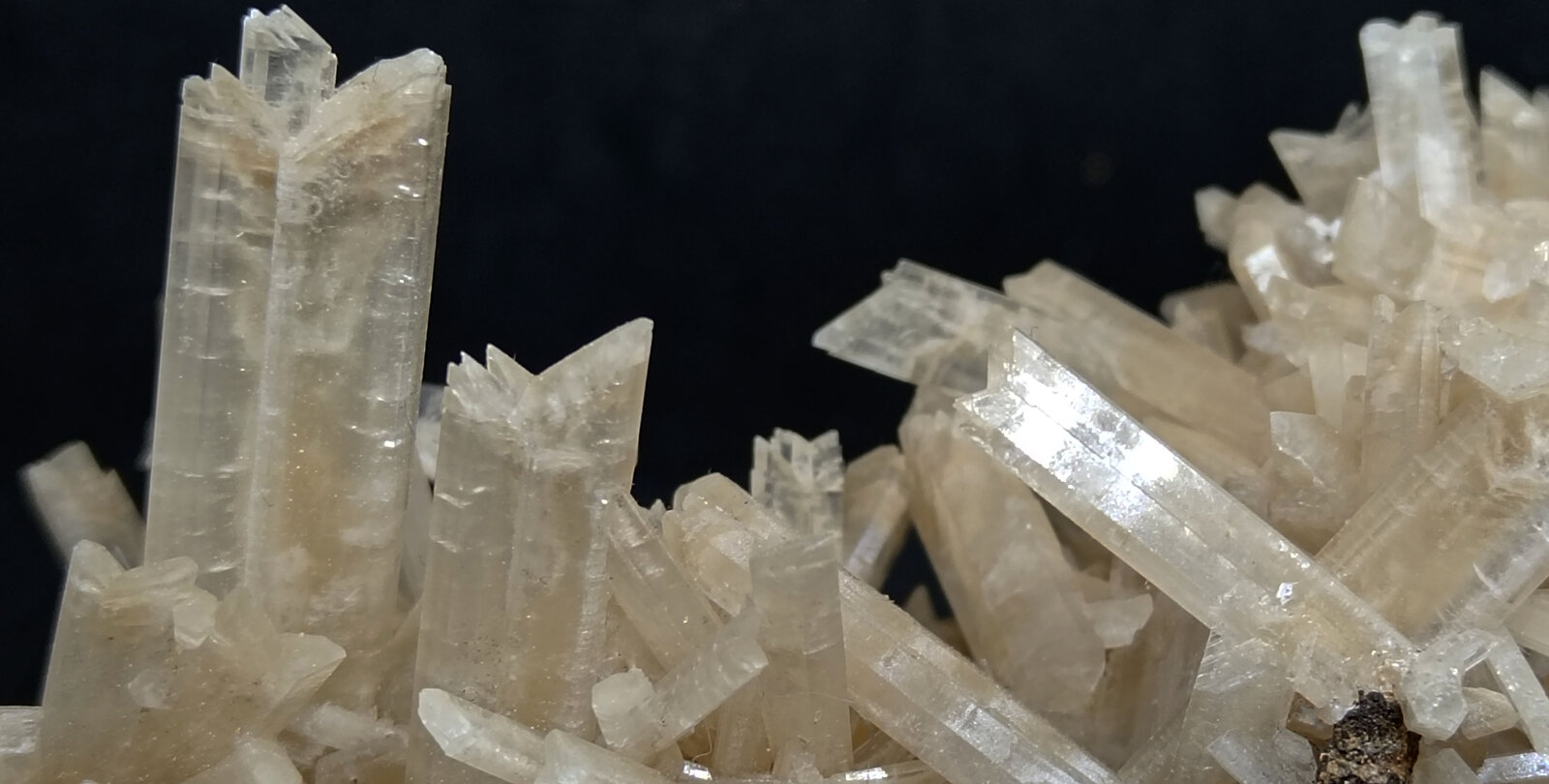 Selenita
Polkowice-Sieroszowice mining area, Sieroszowice, Gmina Radwanice, Polkowice, Lower Silesia Voivodeship, Poland
121x66x50 mm
(Autor: Luis Edmundo Sánchez Roja)