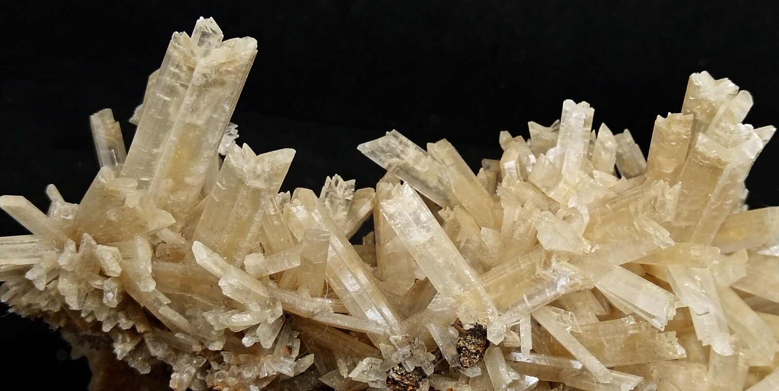 Selenita
Polkowice-Sieroszowice mining area, Sieroszowice, Gmina Radwanice, Polkowice, Lower Silesia Voivodeship, Poland
121x66x50 mm
(Autor: Luis Edmundo Sánchez Roja)