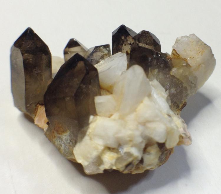 Cuarzo (variedad ahumado), Microclina
cristales de 15 x10 mm
(Autor: Emilio Téllez)