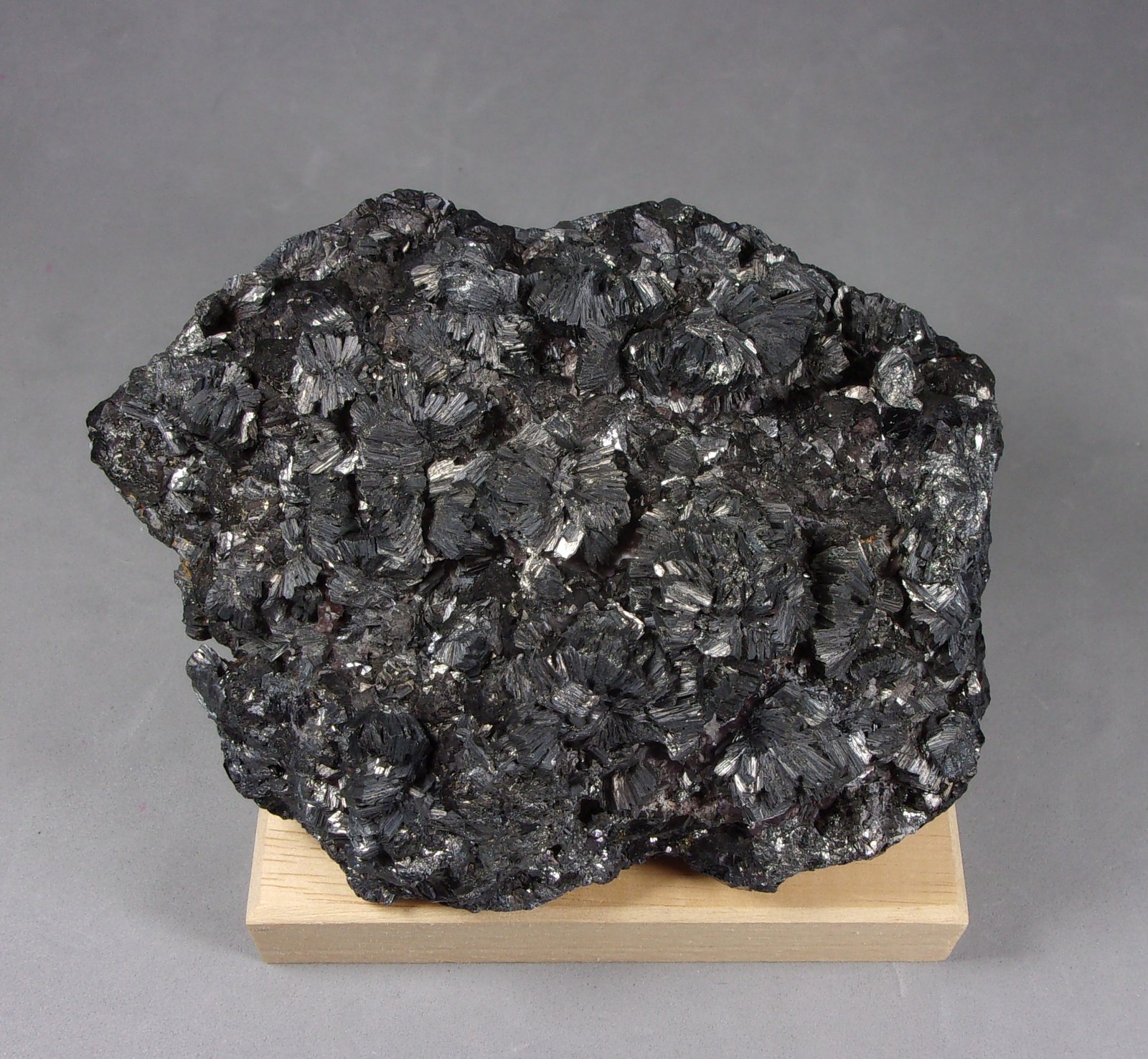 Semseyita
10,5 x 8 x 4,5 cm.
(Autor: J. G. Alcolea)