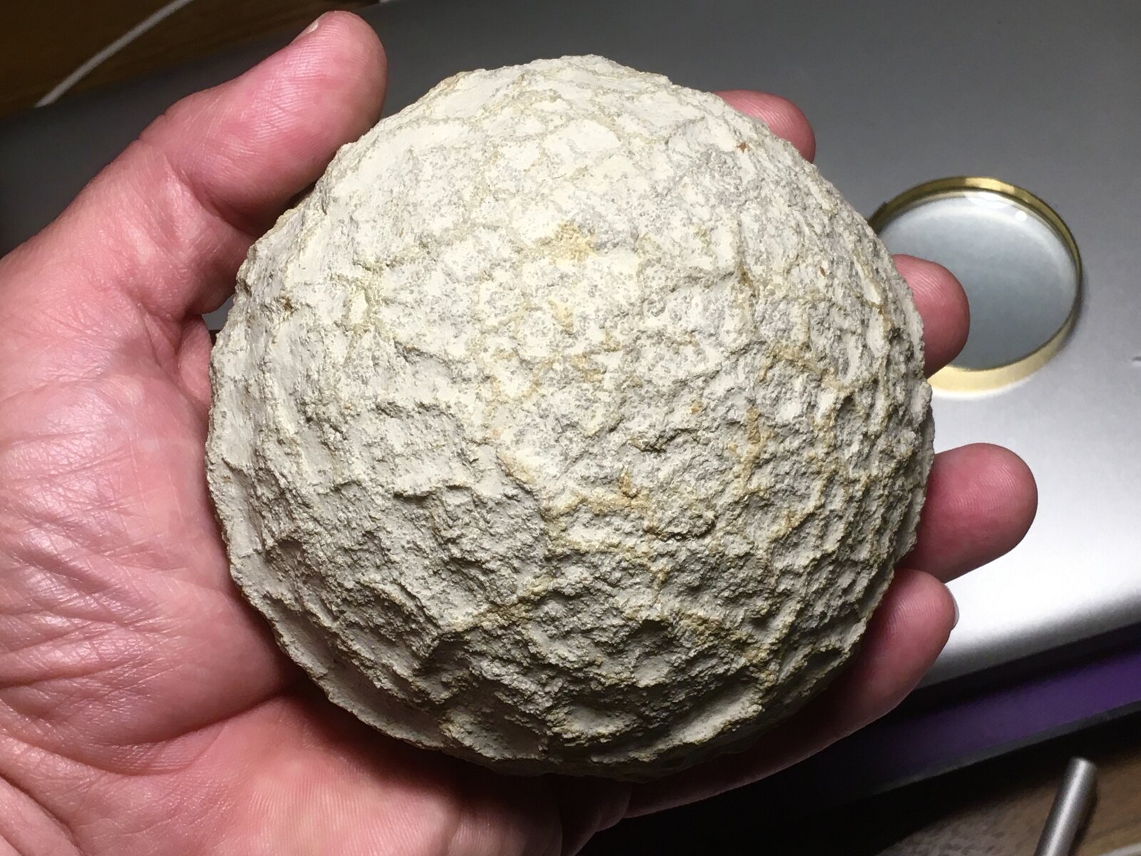 Barita
Venta Cavila, Caravaca, Comarca Noroeste
12 cm diámetro
(Autor: Matias Raja)