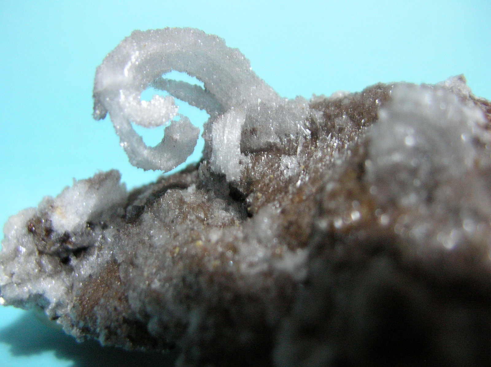 Yeso
8 x 5 cm
(Autor: Pedro Conesa)