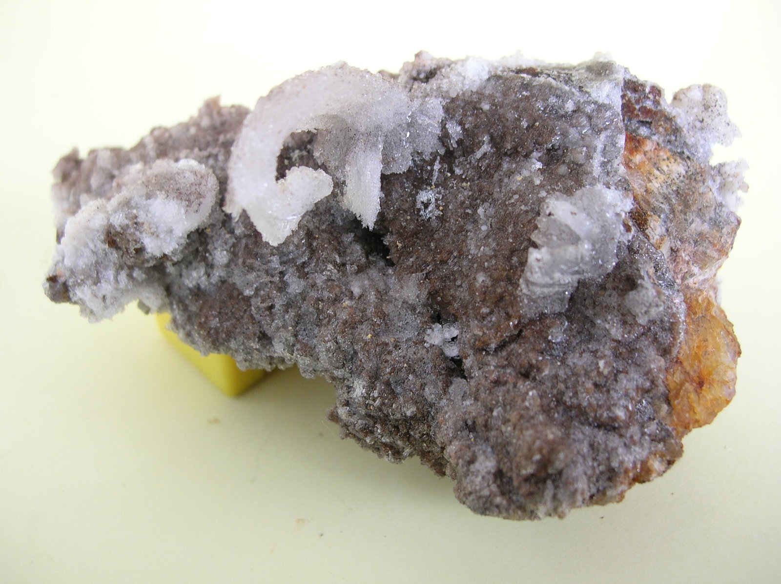 Yeso
8 x 5 cm
(Autor: Pedro Conesa)
