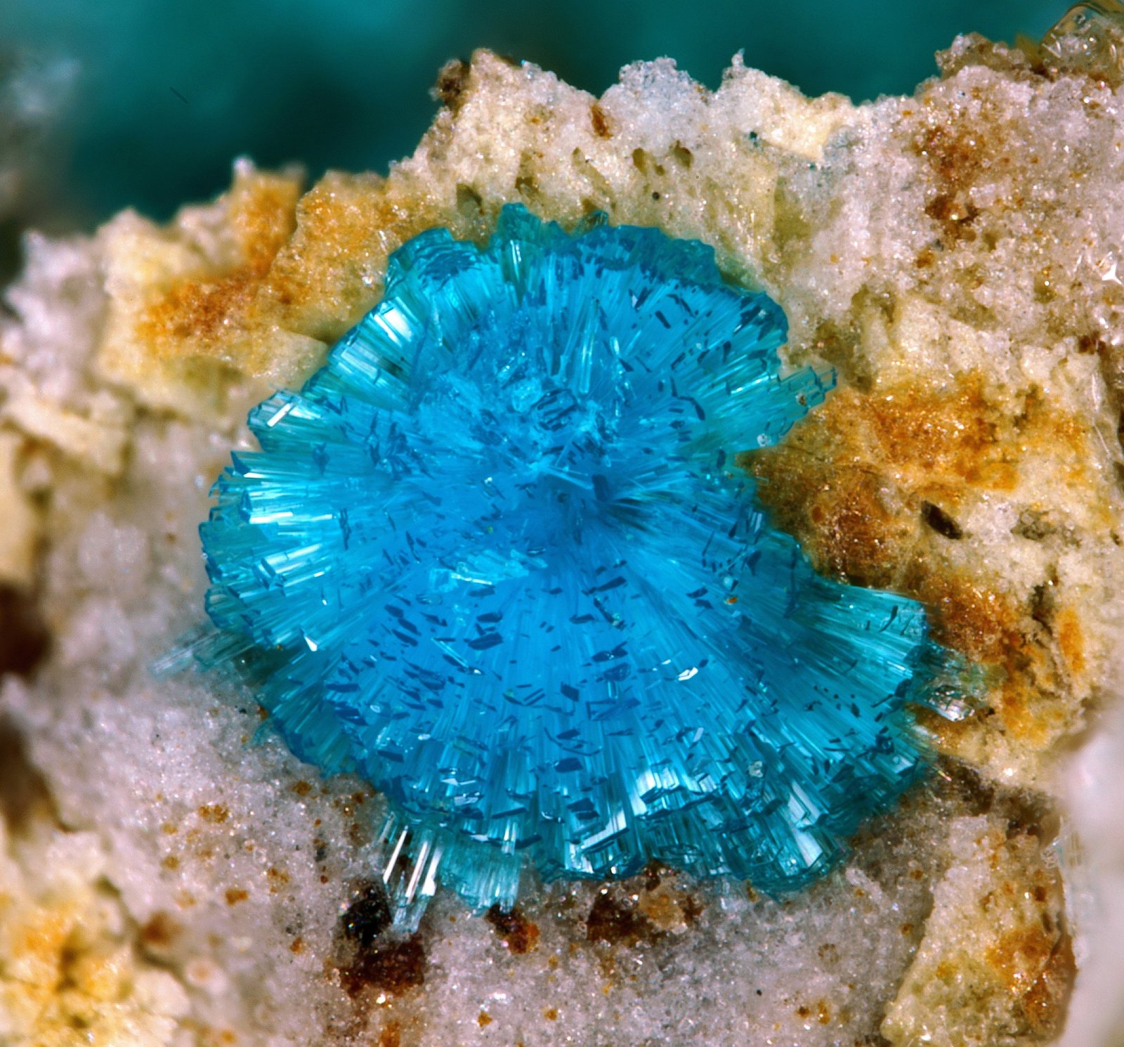 Serpierita
1mm
(Autor: yowanni)