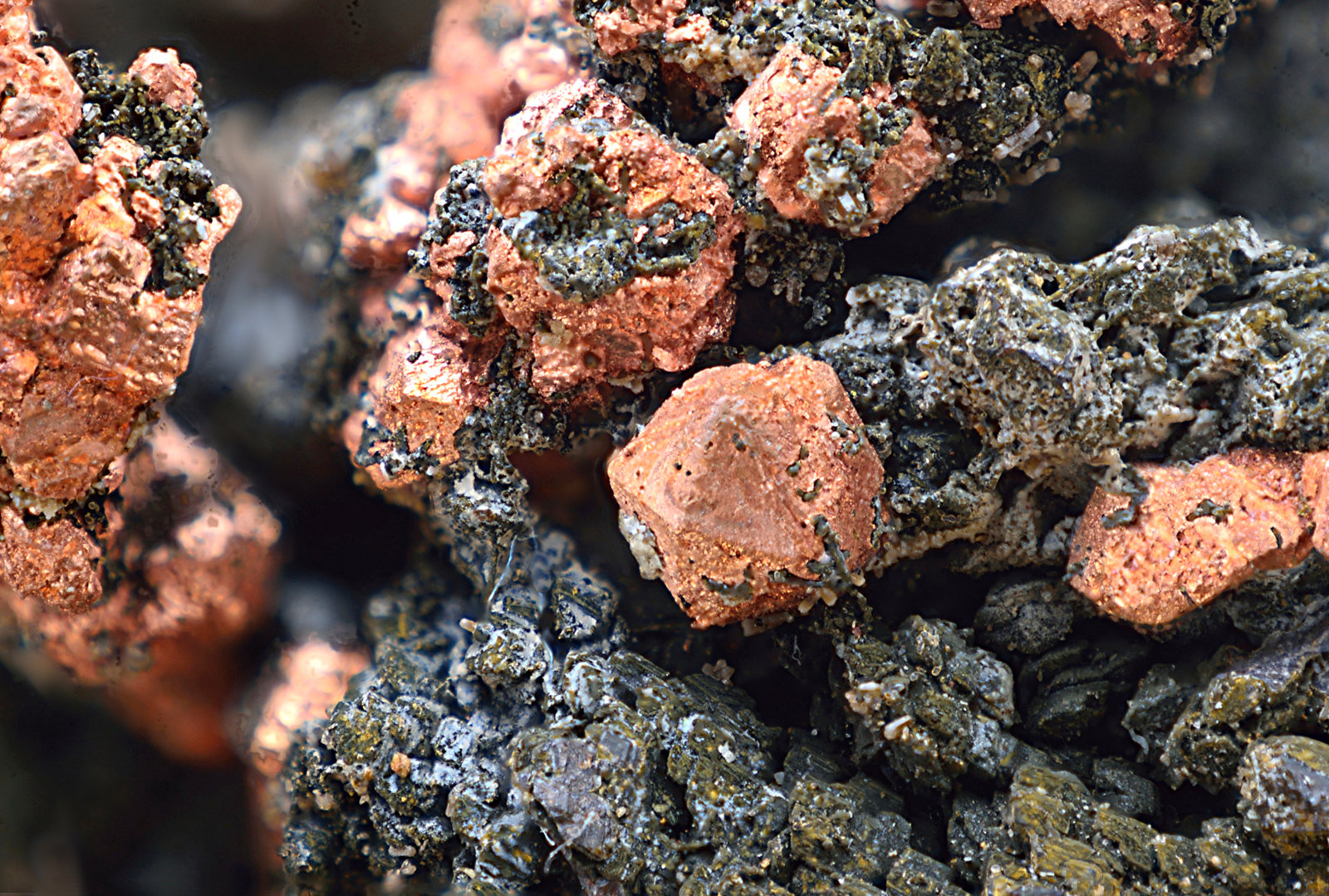 Cobre y Plata
Campo de visión de 10 mm
(Autor: Antonio Carmona)