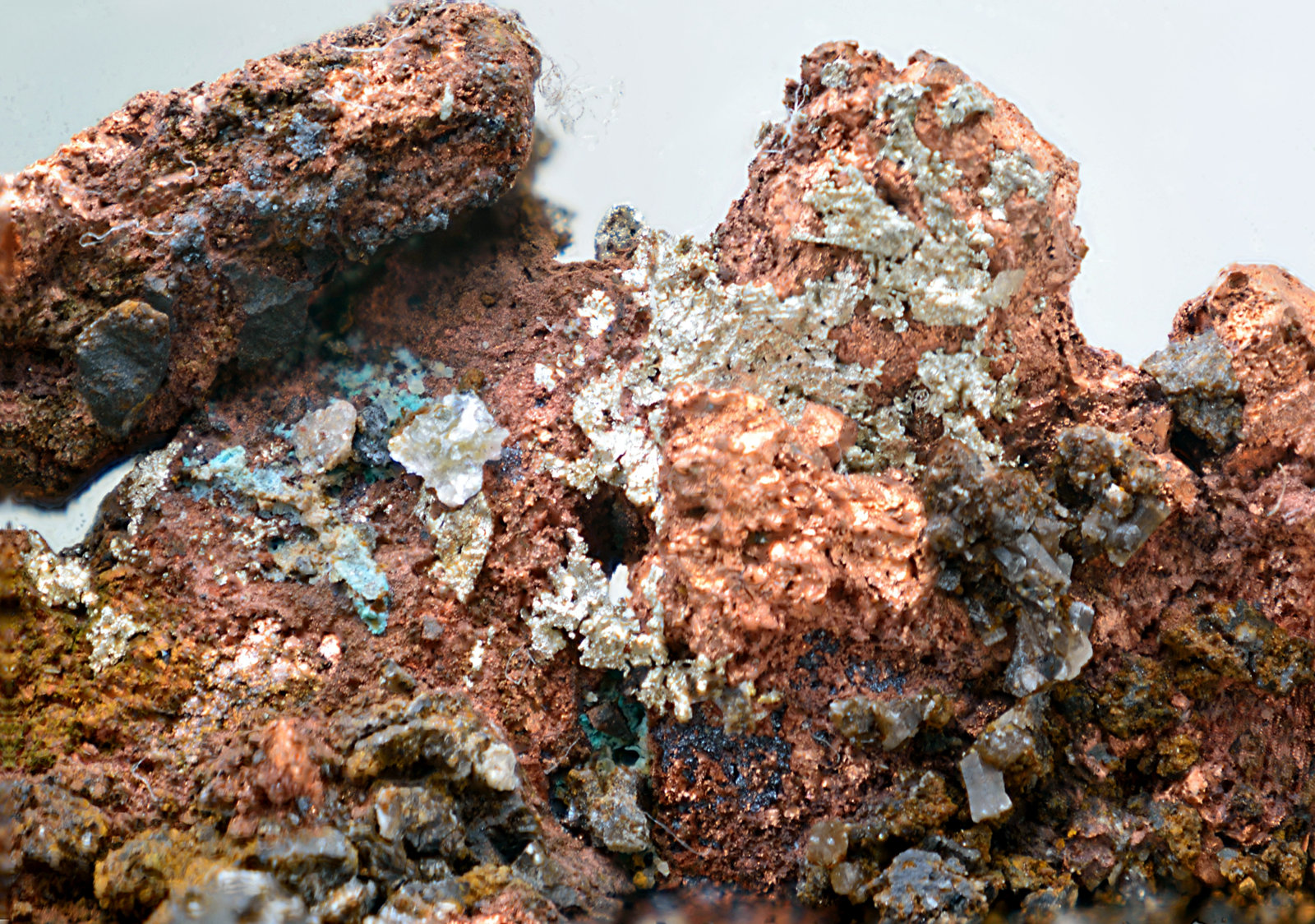 Cobre y Plata
Campo de visión de 10 mm
(Autor: Antonio Carmona)