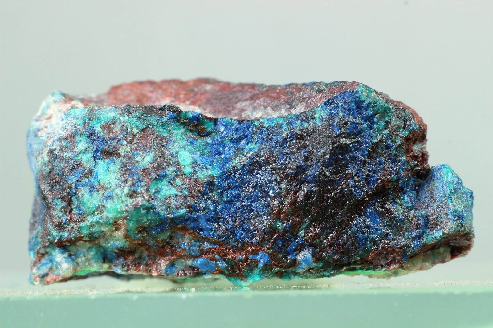 Shattuckita
30x25 mm
(Autor: Juan Espino)