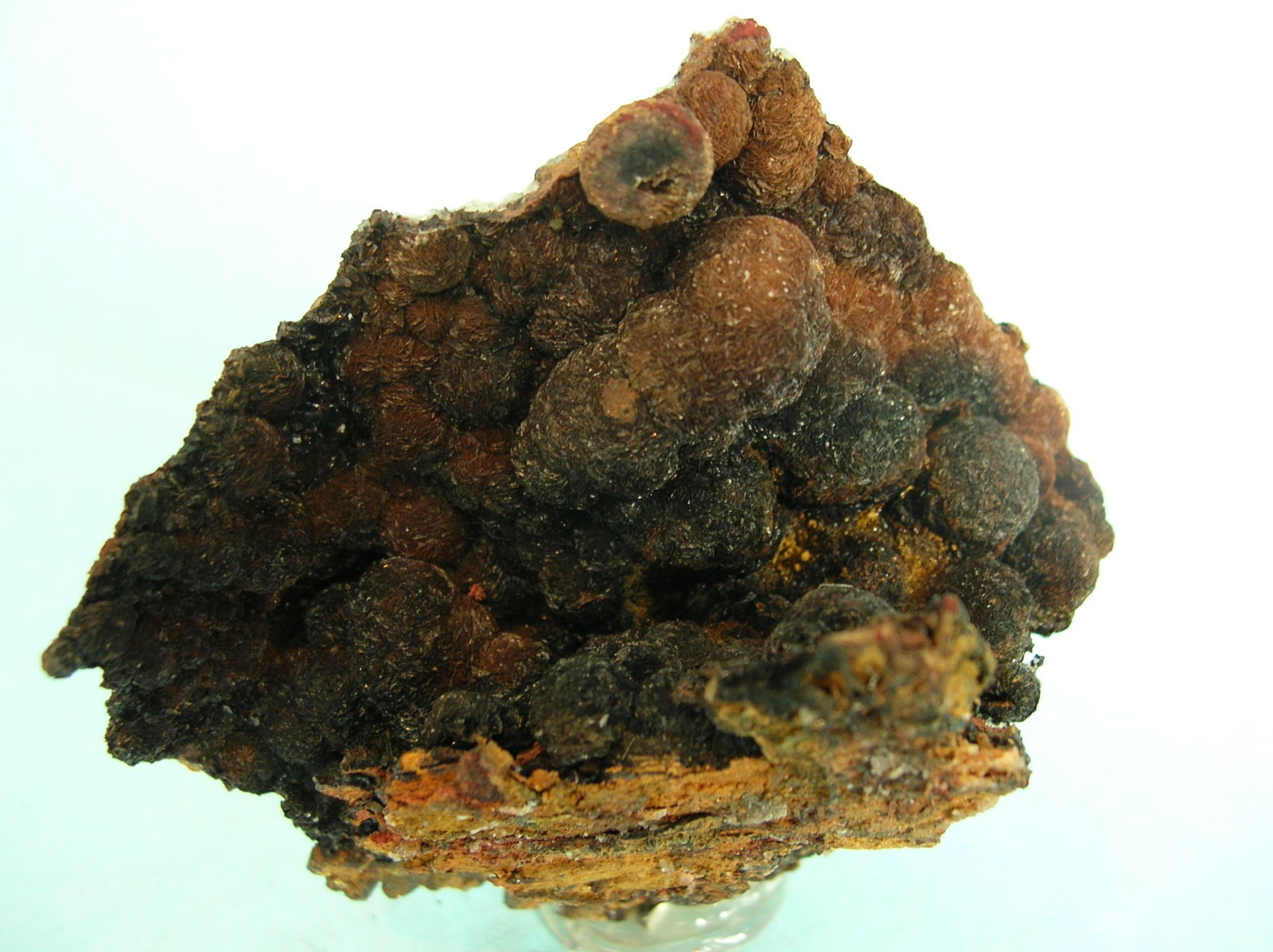 Siderita
8 x 8 cm
(Autor: Pedro Conesa)