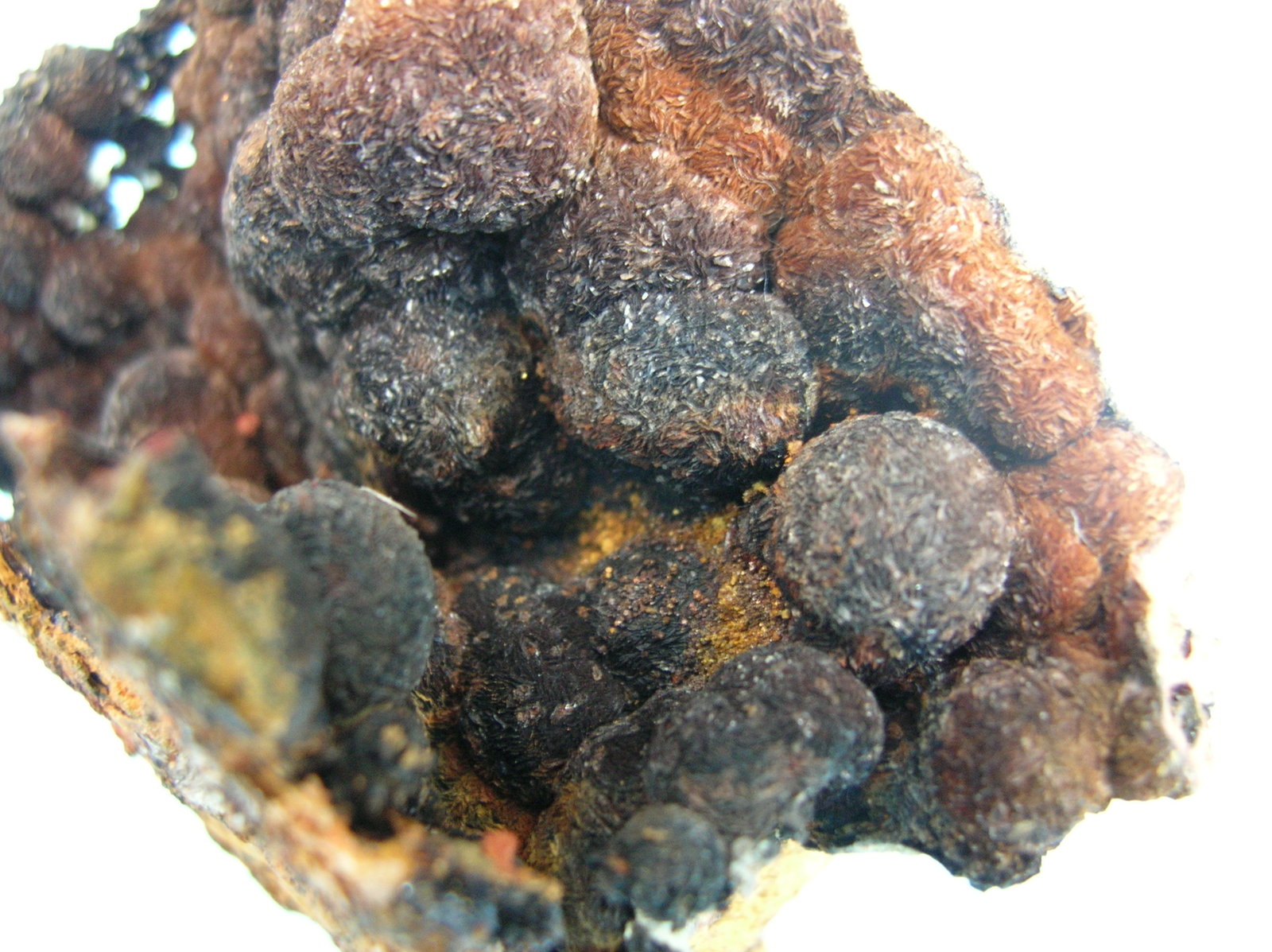 Siderita
8 x 8 cm
(Autor: Pedro Conesa)