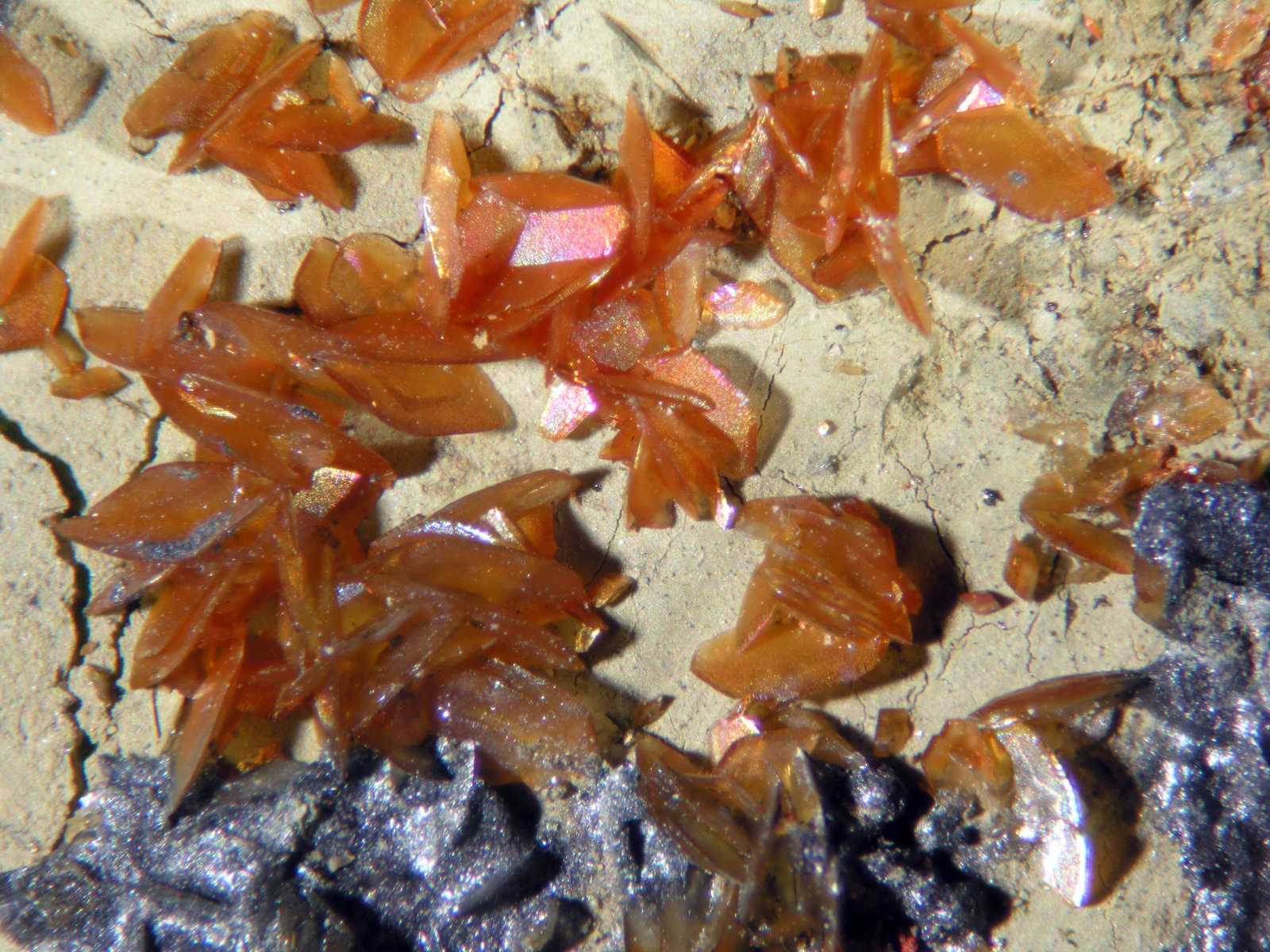 Siderita
FOV 0.7 cm
(Autor: Cesar M. Salvan)