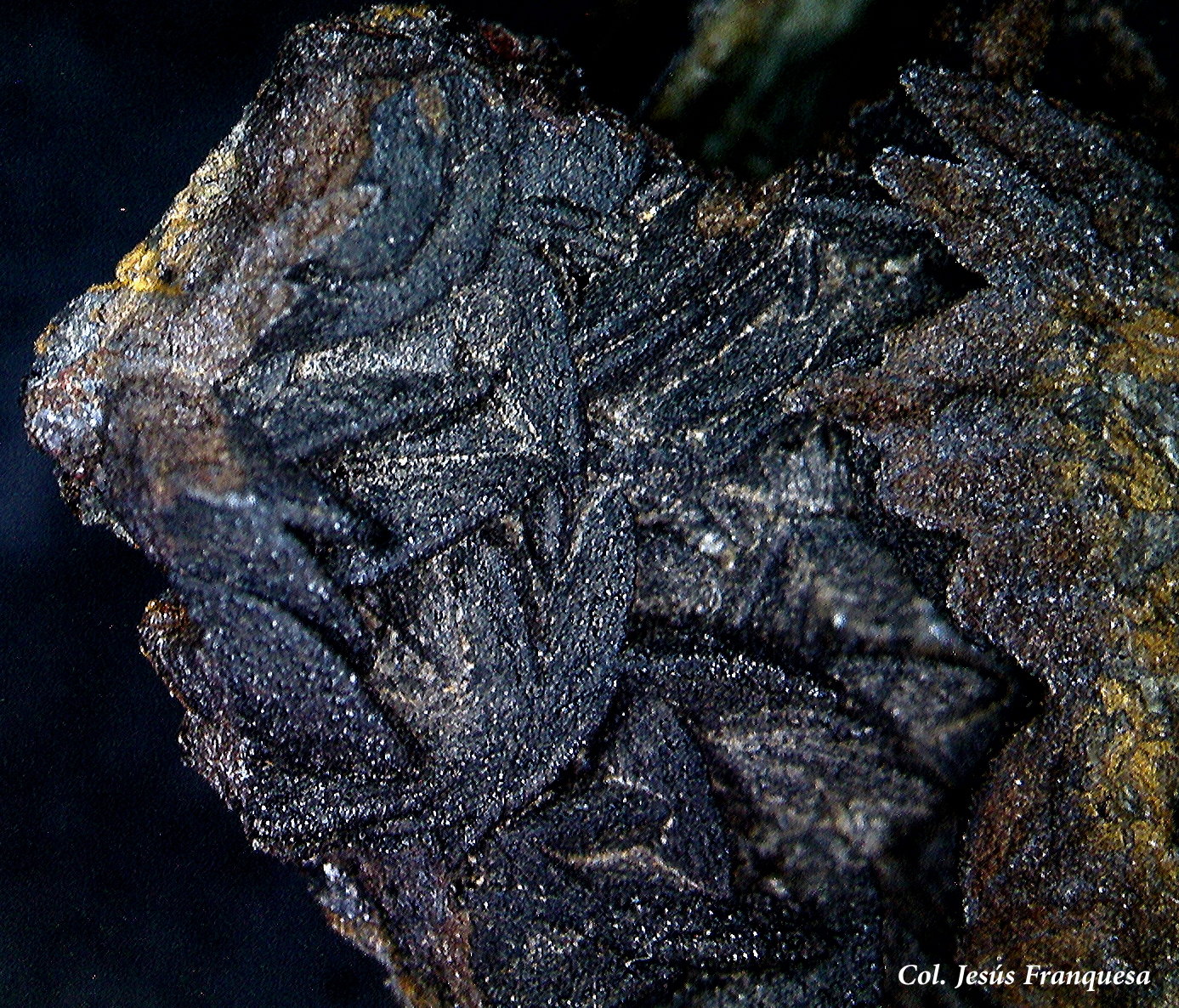 Siderita pseudomórfica de Goethita
5´69 x 5´37 mm.
(Autor: Jesus Franquesa Baucells)