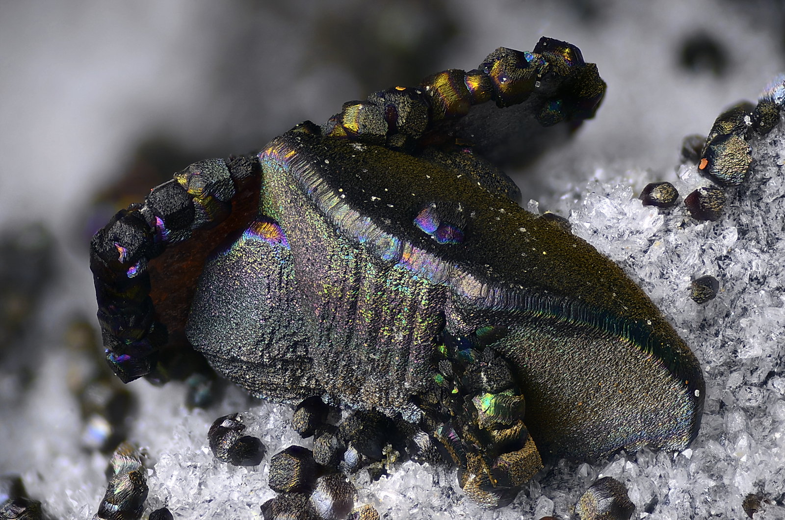 Siderita
Campo de visión 5 mm
(Autor: Juan Miguel)