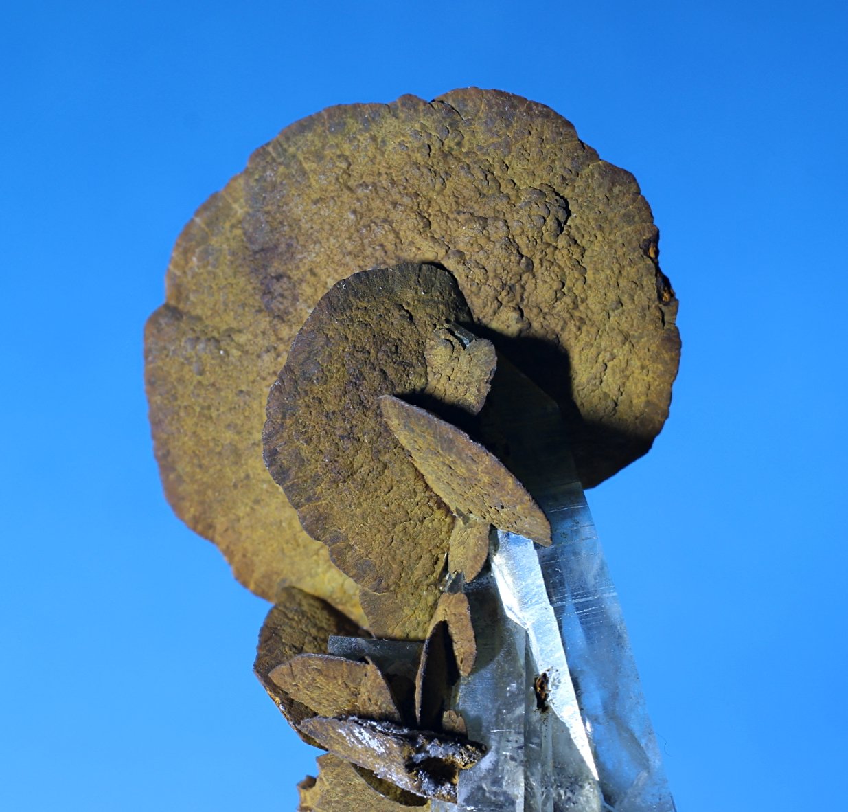Siderita
cristal 20mm
(Autor: Ramon A  Lopez Garcia)