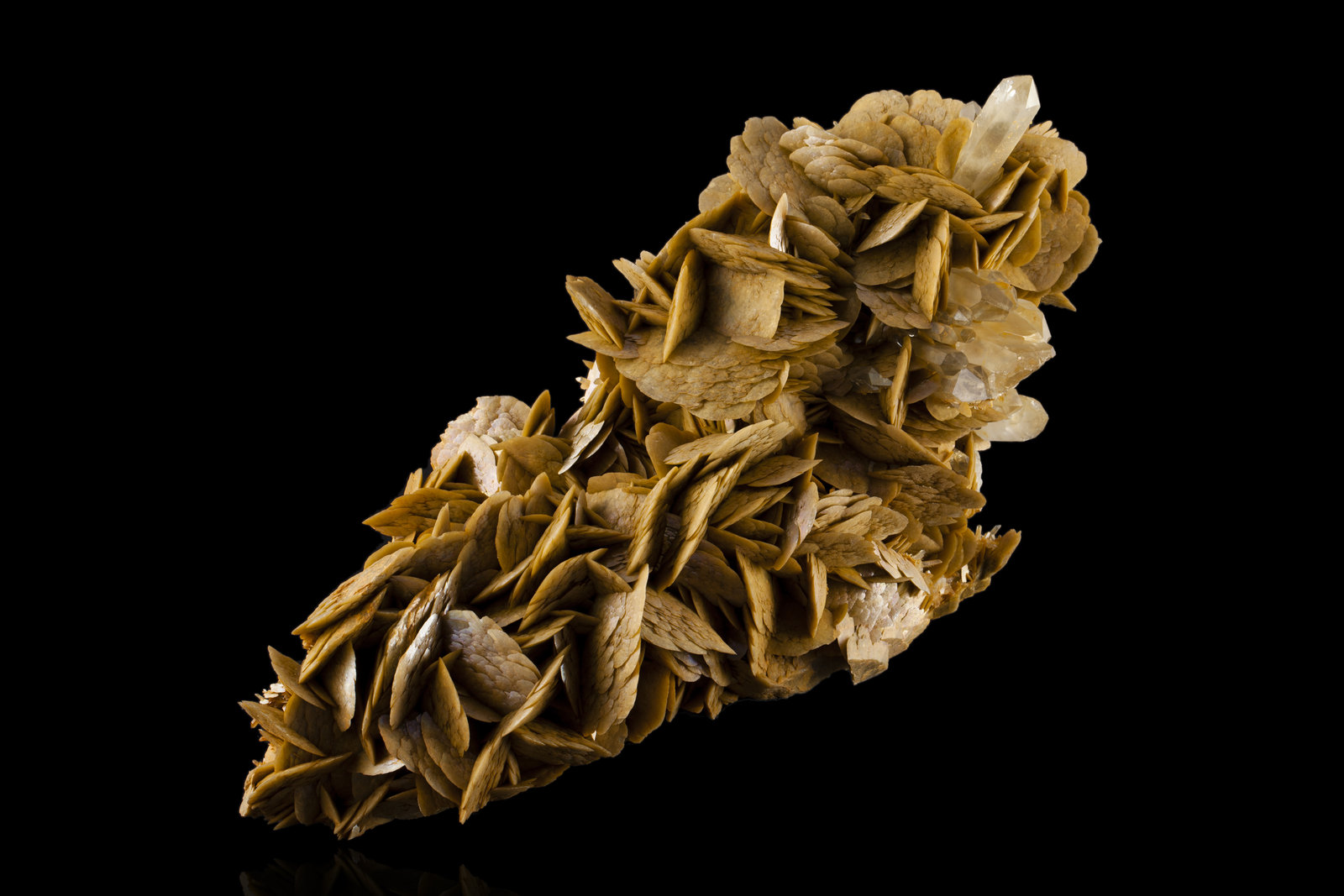 Siderita con Cuarzo
34 x 13 x 20 cm / Cristal principal: 5.8 cm.
(Autor: Museo MIM)