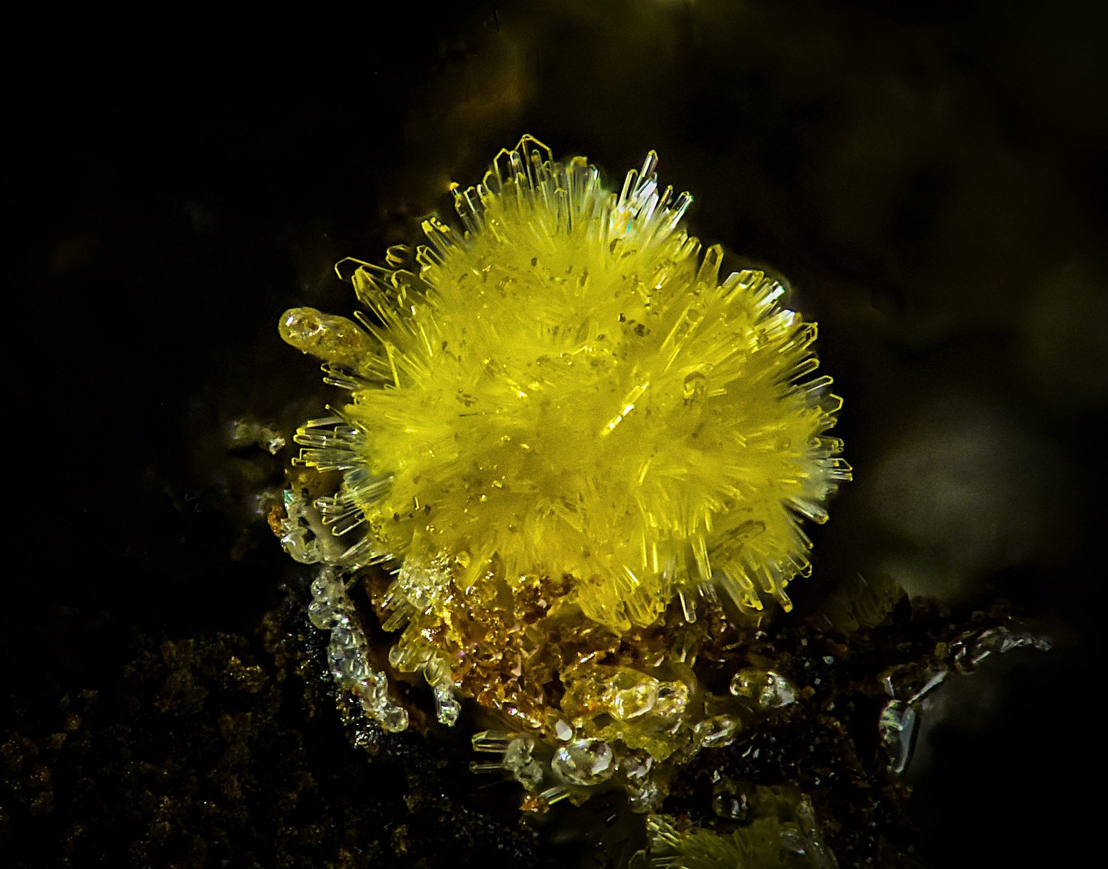Sideronatrita
3 mm
(Autor: Borja Sainz de Baranda)
