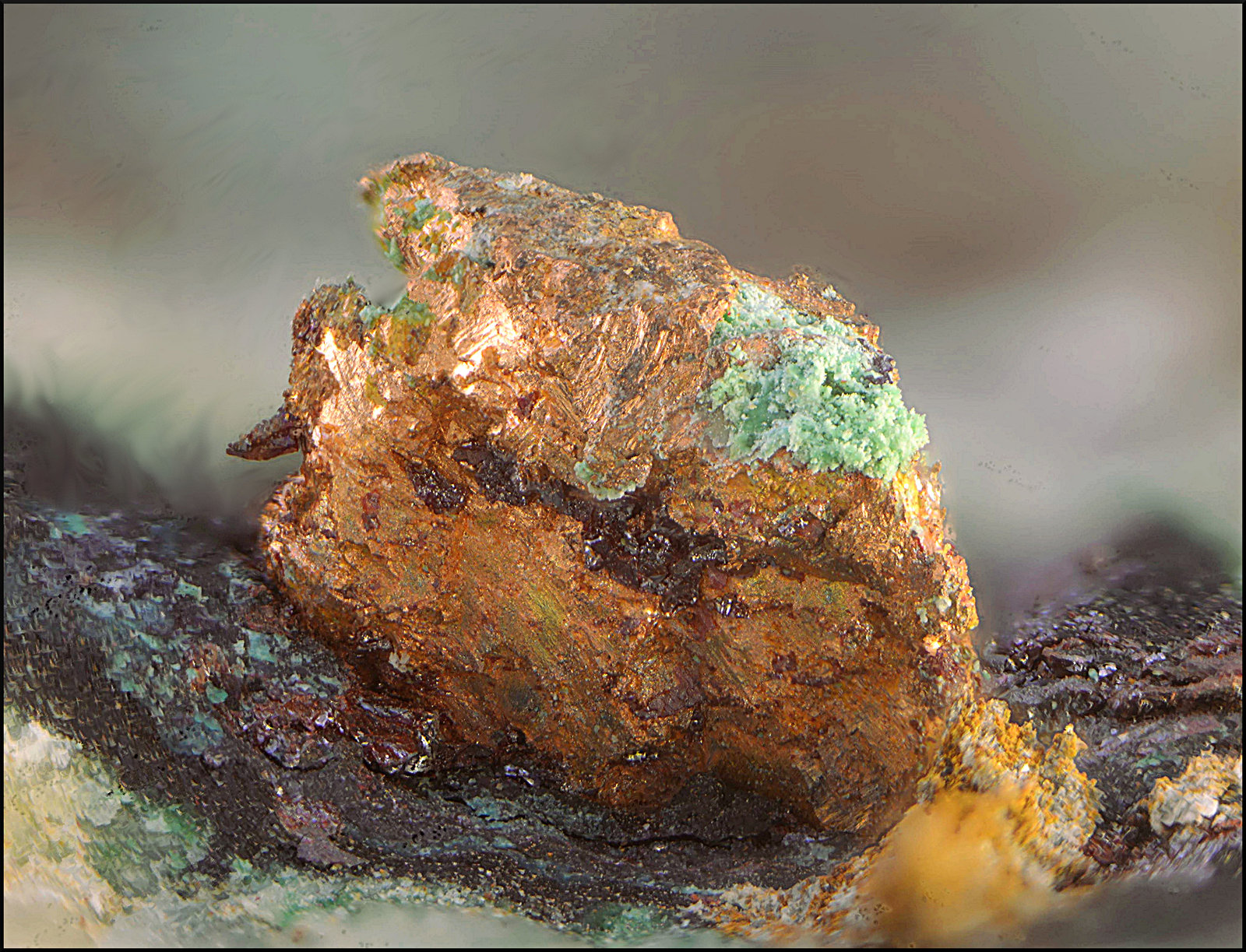 Cobre y Cuprita
Campo de visión de 4 mm.
(Autor: Antonio Carmona)