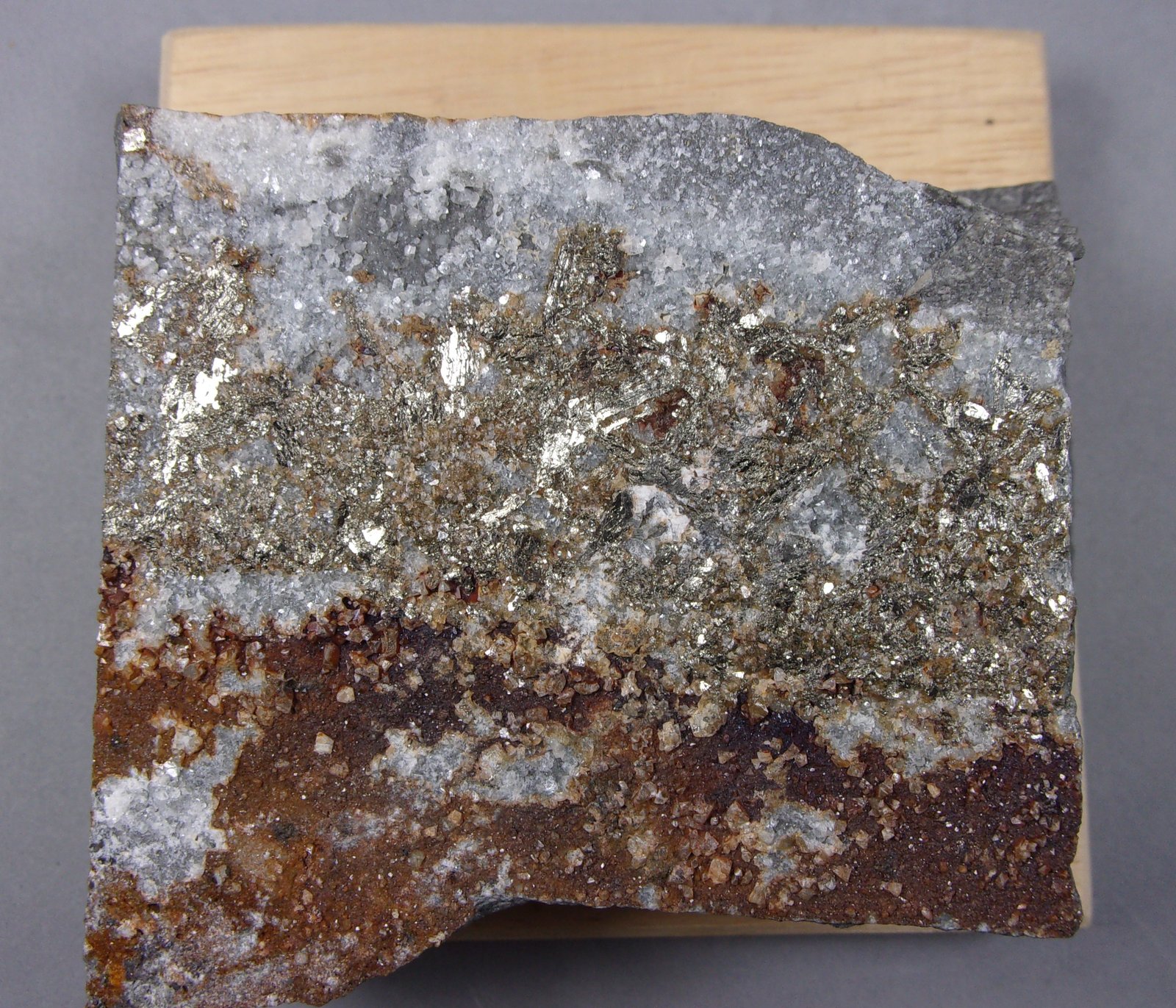 Silvanita
7,5 x 6 cm.
(Autor: J. G. Alcolea)
