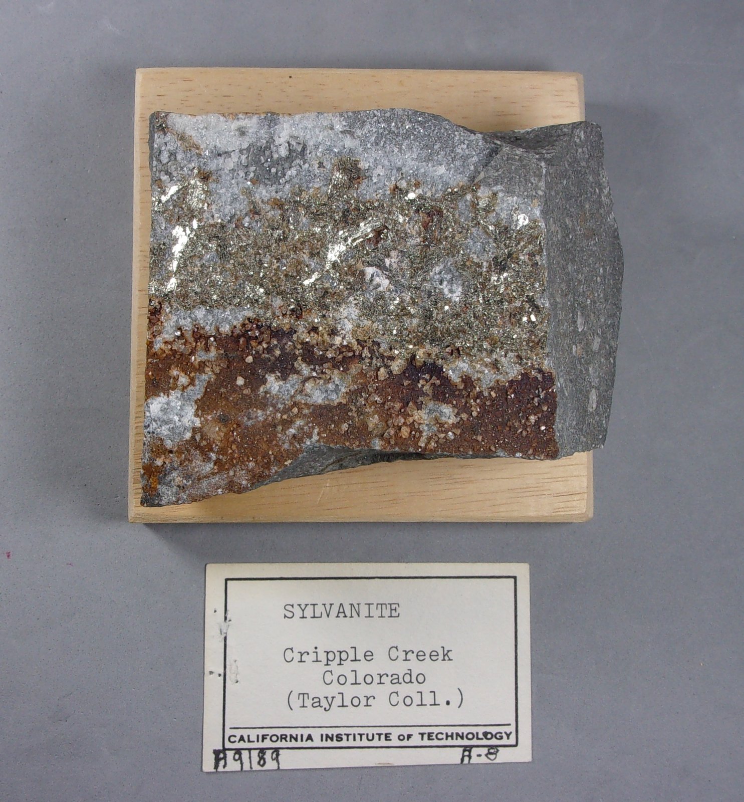 Silvanita
7,5 x 6 cm.
(Autor: J. G. Alcolea)