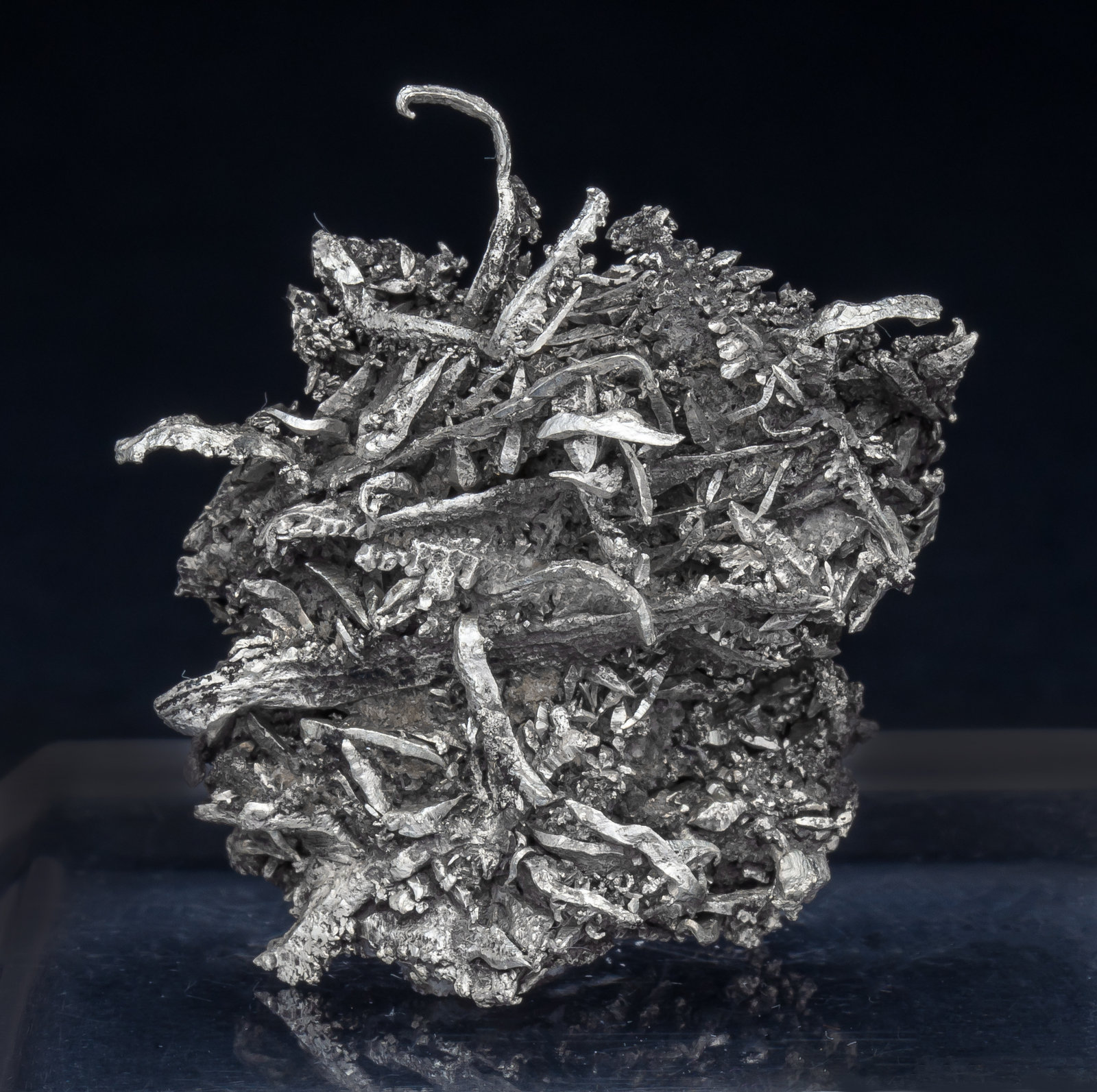 Plata
3.3 × 2.8 × 1.8 cm
(Autor: Jordi Fabre)