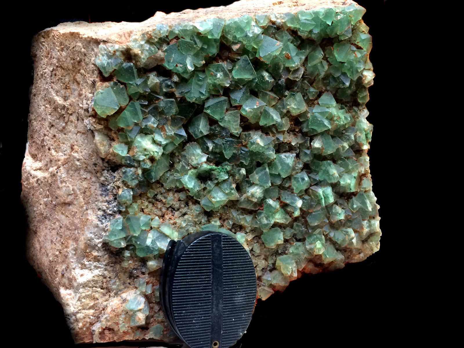 Fluorita
15x16cm
(Autor: Obsi)