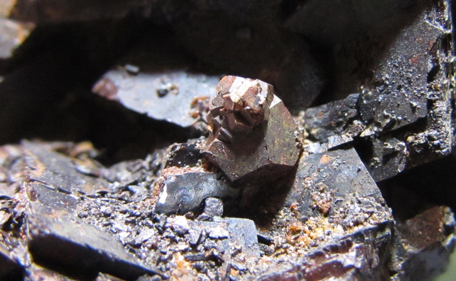 Pirita, siderita
2 cm. ancho de campo
(Autor: prcantos)