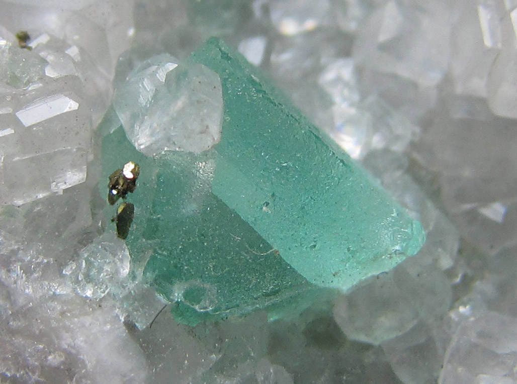 Pirita, fluorita y calcita
1 cm. ancho de campo
(Autor: prcantos)