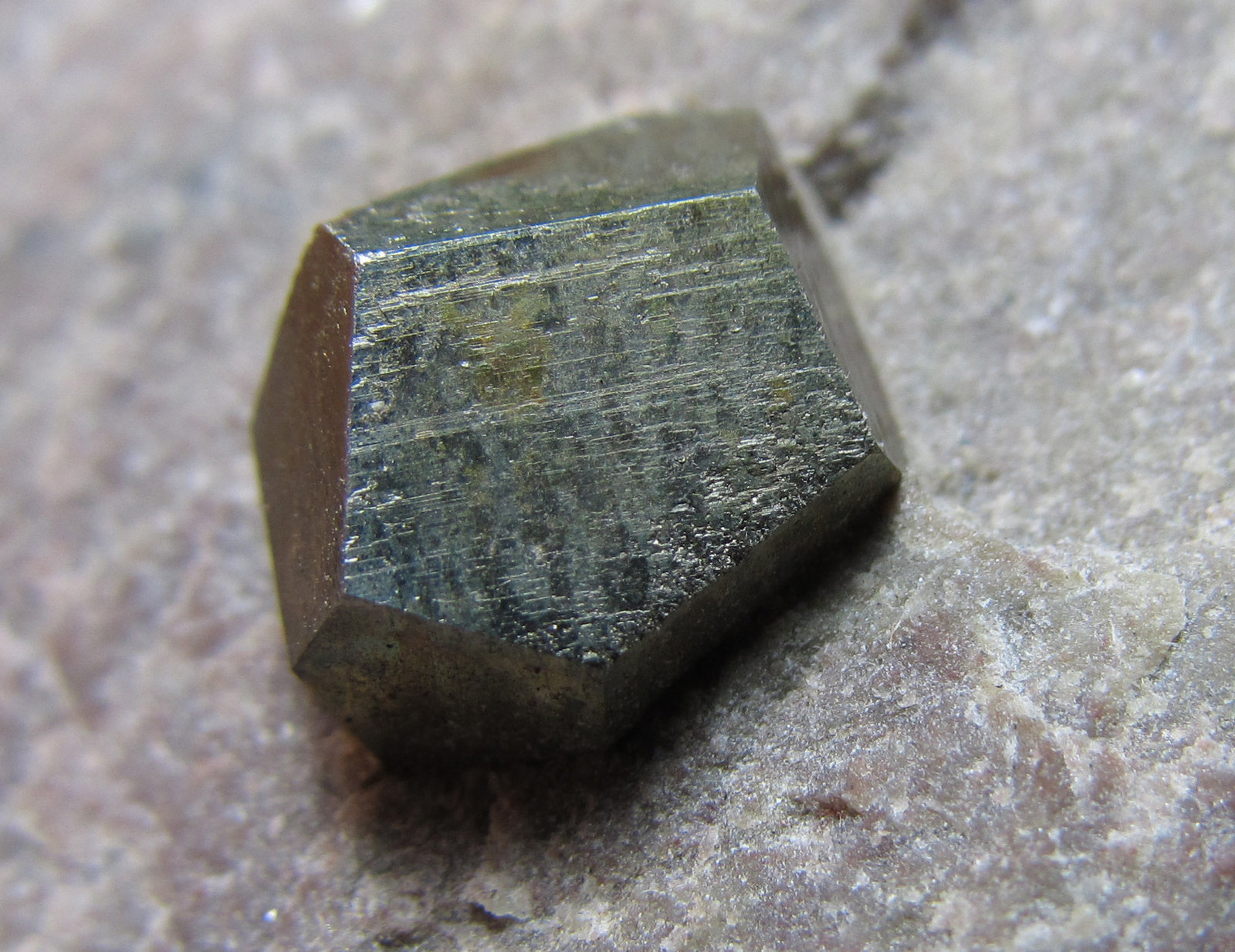 Pirita
Cristal de 1 x 1 cm.
(Autor: prcantos)