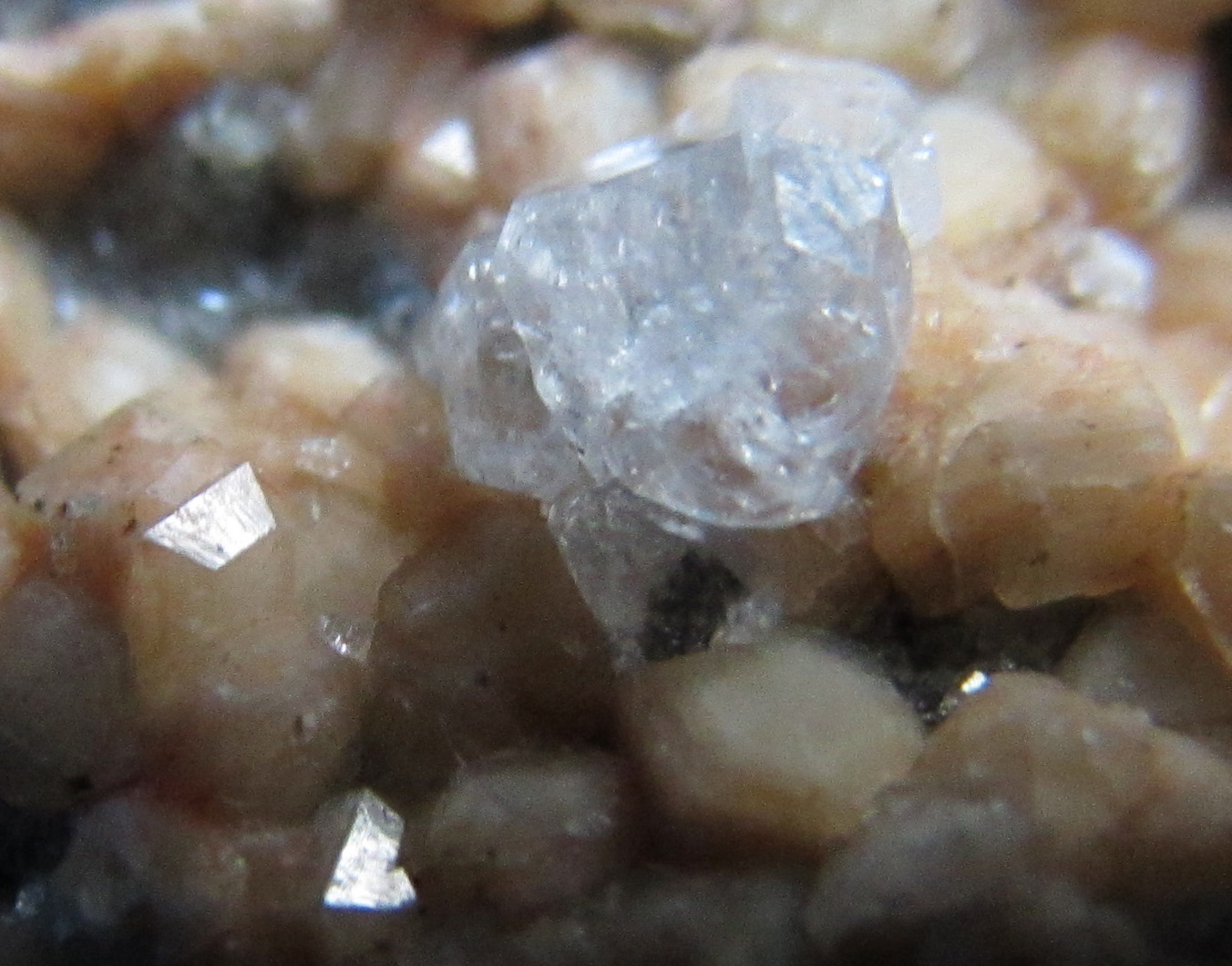 Analcima y gmelinita
8 mm. ancho de campo
(Autor: prcantos)