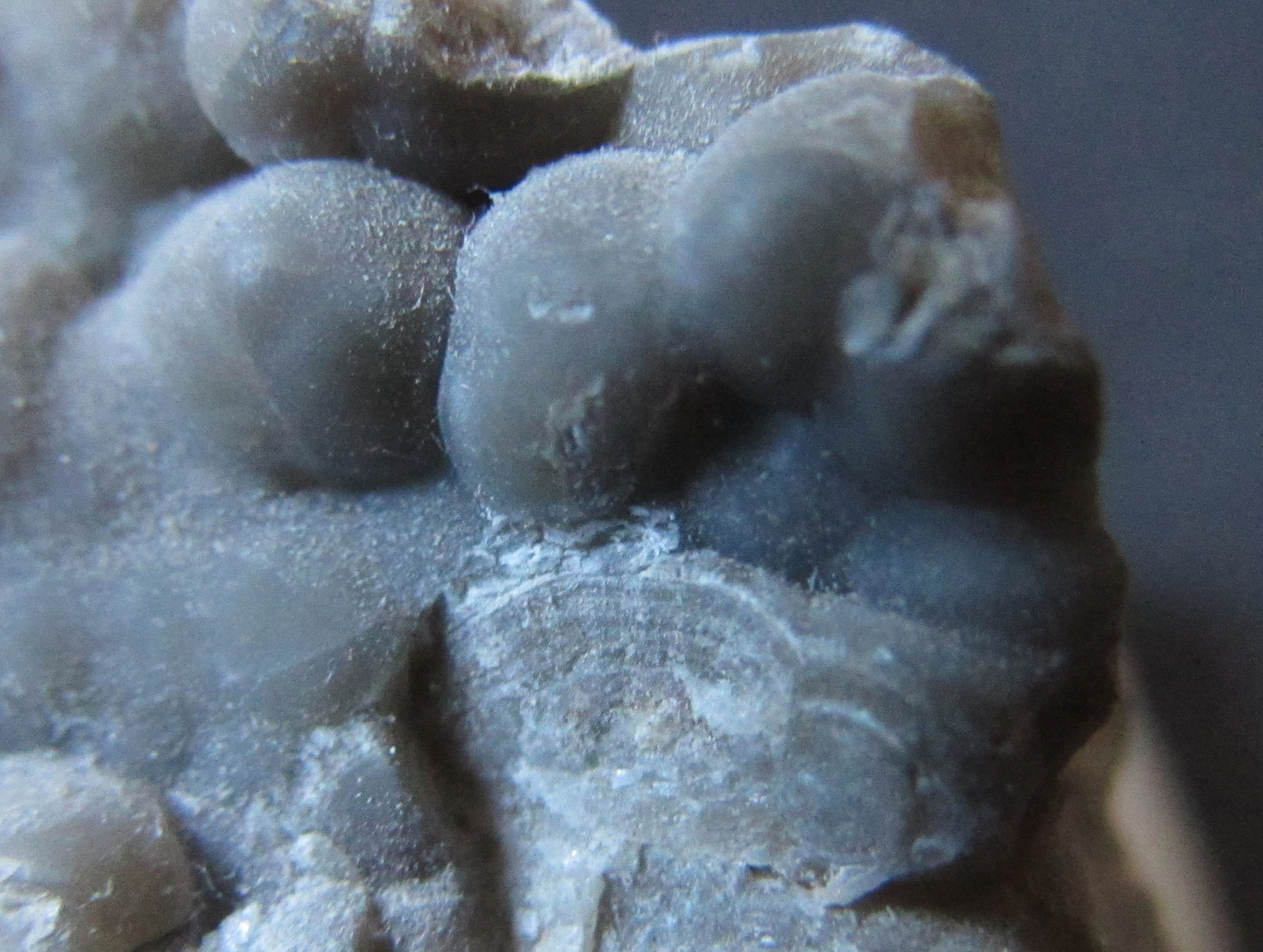 Smithsonita
1'5 cm. ancho de campo
(Autor: prcantos)