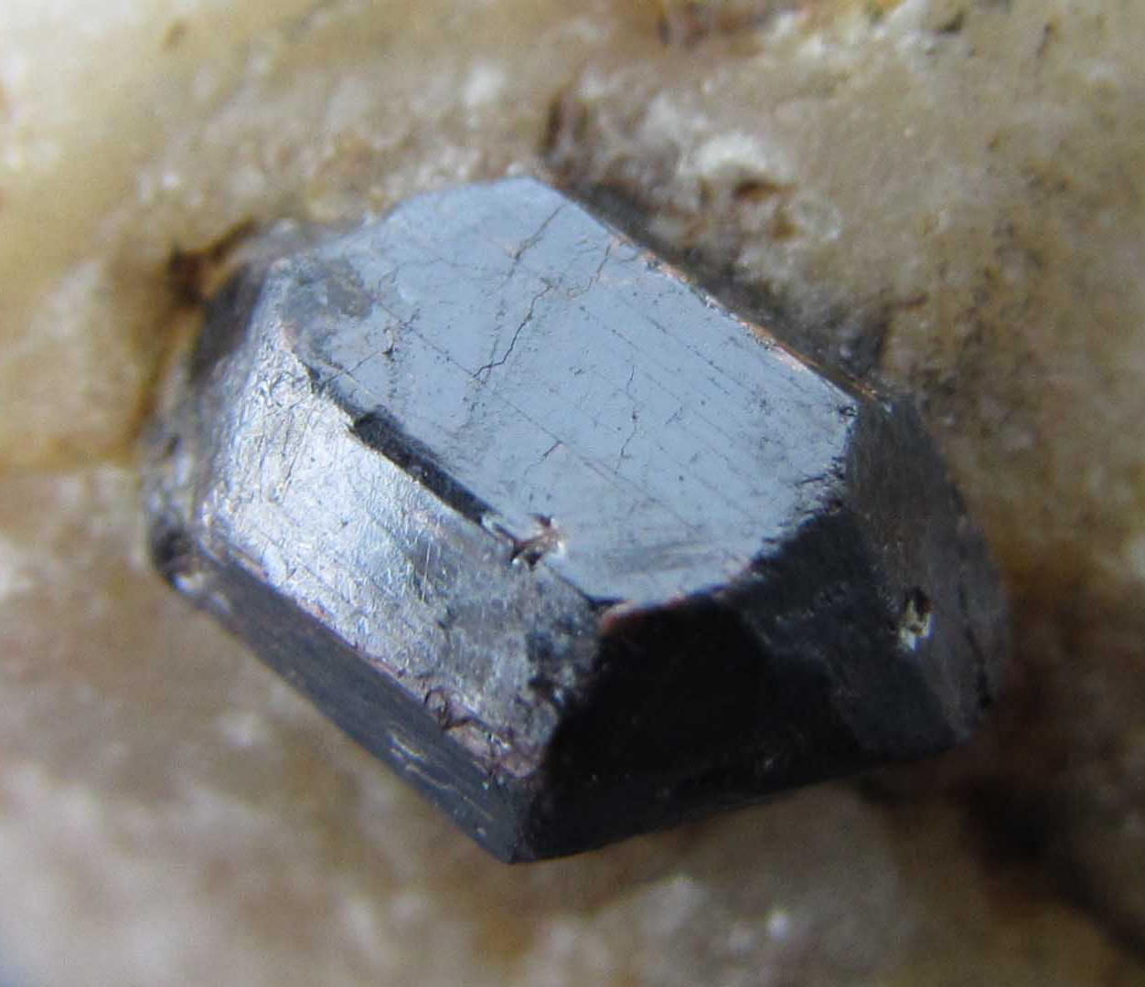 Rutilo
Cristal de 8 x 5 mm.
(Autor: prcantos)