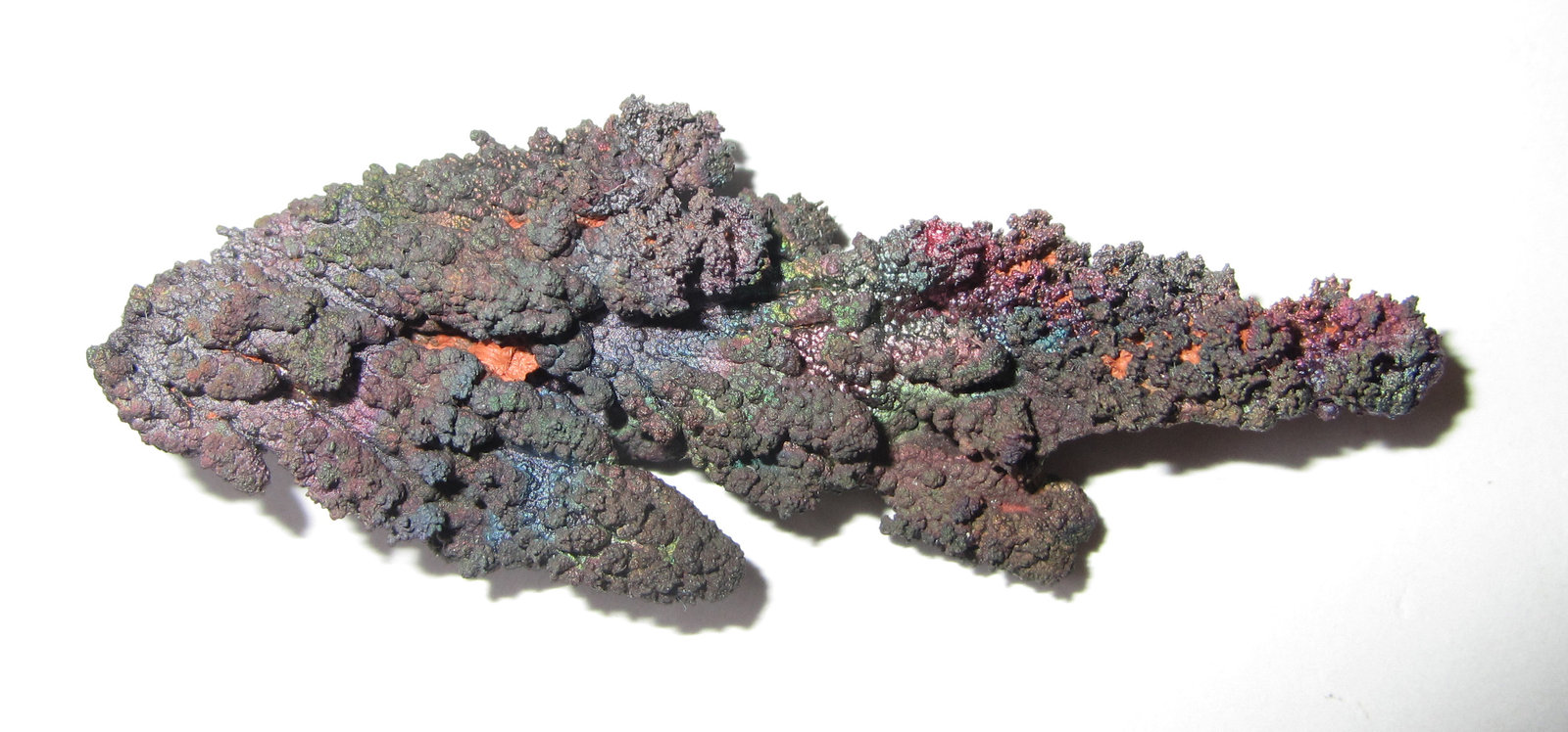 Goethita
57 x 23 mm.
(Autor: prcantos)