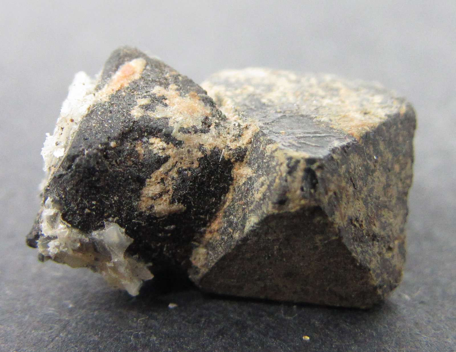 Magnetita y Perovskita variedad dysanalita
1'5 x 1 cm.
(Autor: prcantos)