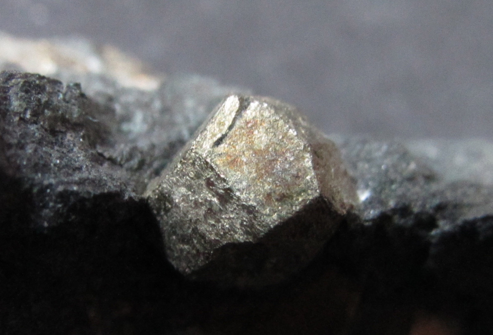Pirita
2 cm. ancho de campo
(Autor: prcantos)
