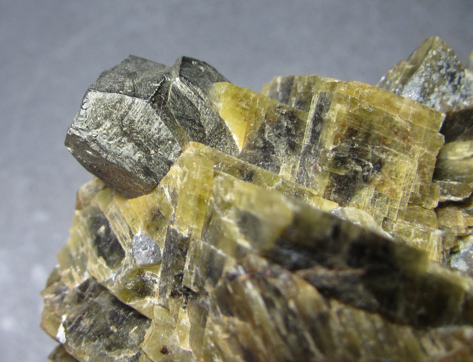 Pirita, Siderita
4'5 cm. ancho de campo
(Autor: prcantos)