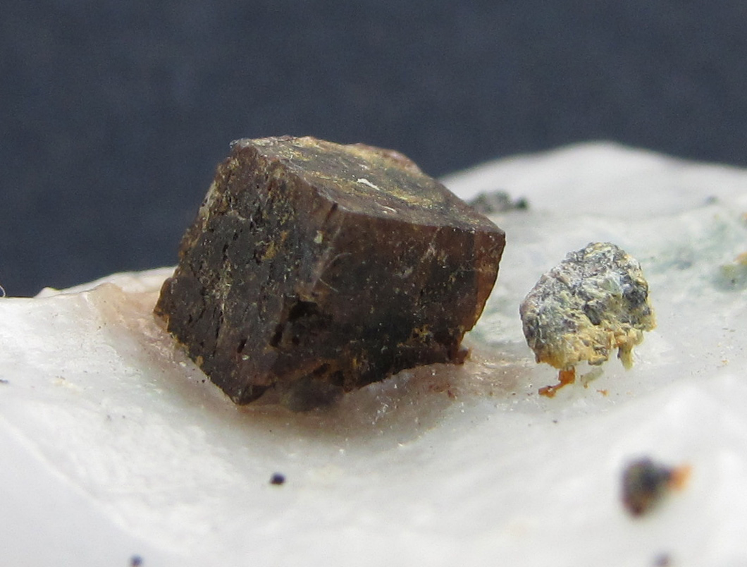 Perovskita
Cristal con aristas de 4 mm.
(Autor: prcantos)