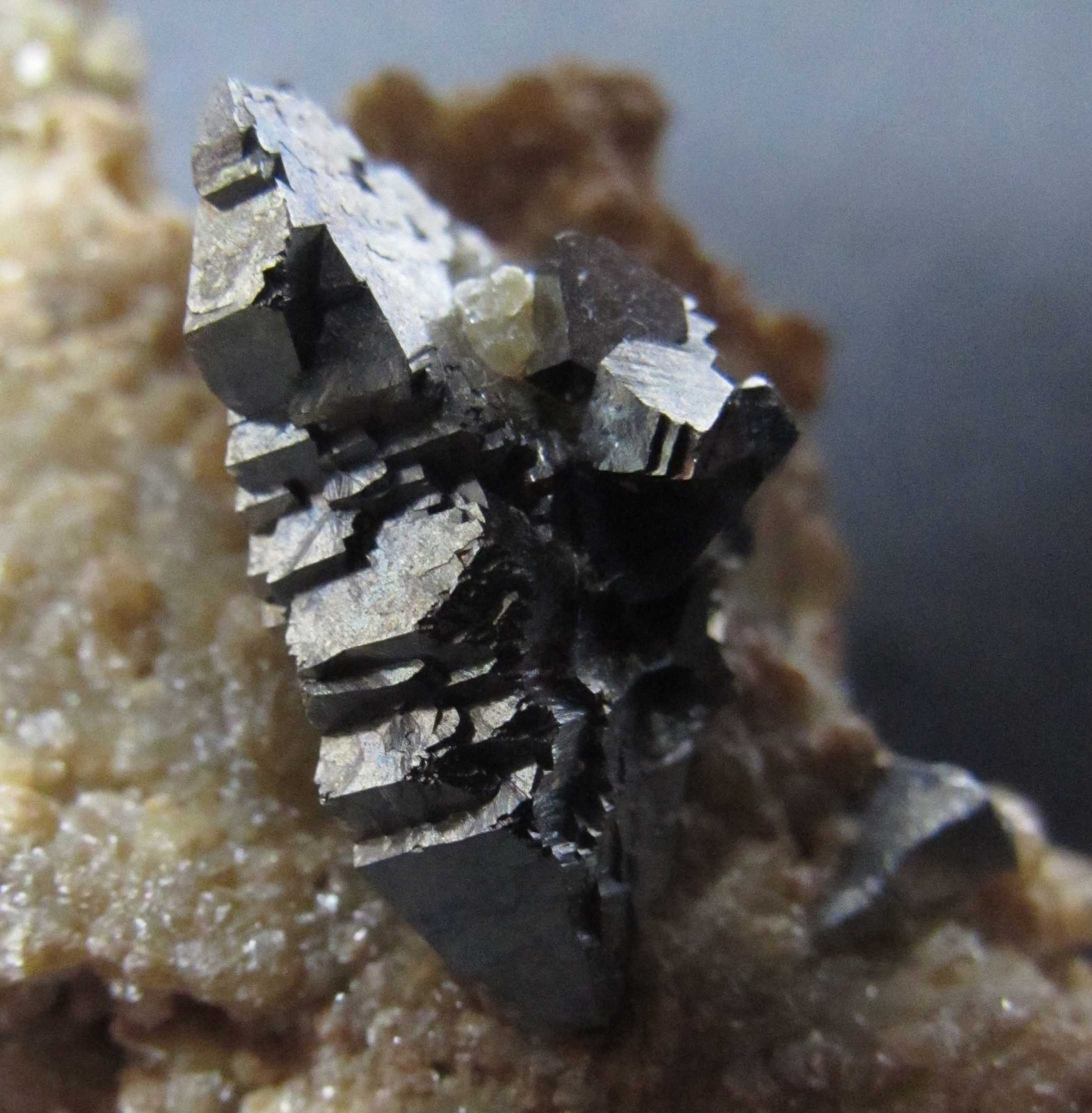 Arsenopirita
Cristal de 2 cm. de longitud
(Autor: prcantos)