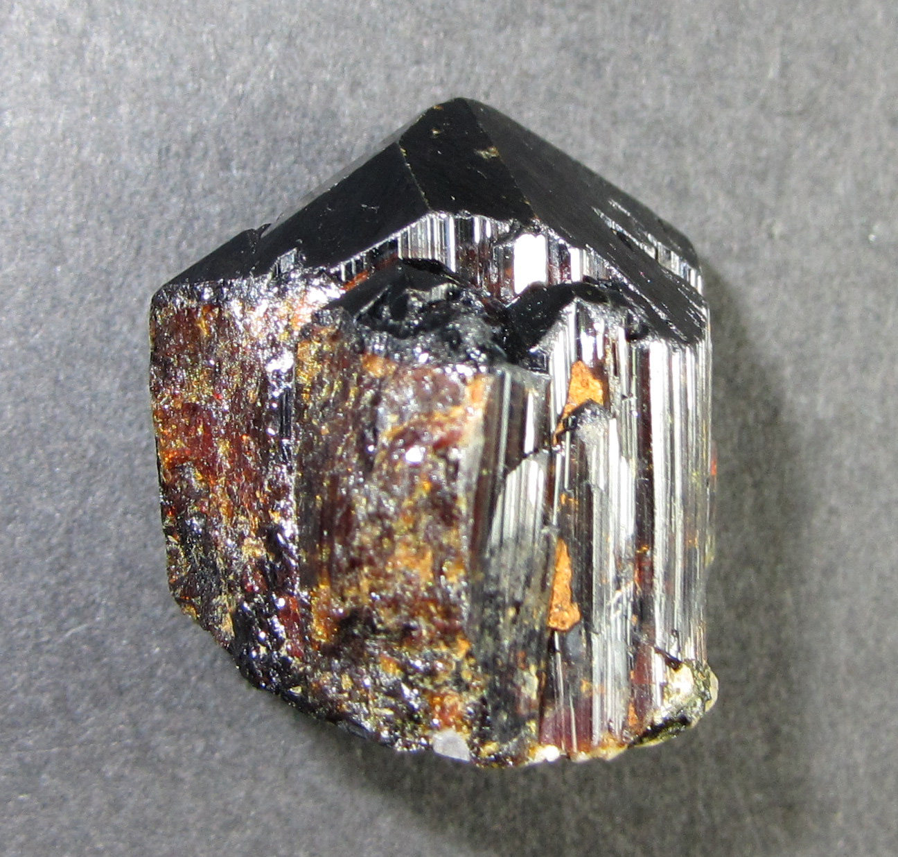 Rutilo
15 x 18 mm. (base) x 18 mm. (altura)
(Autor: prcantos)