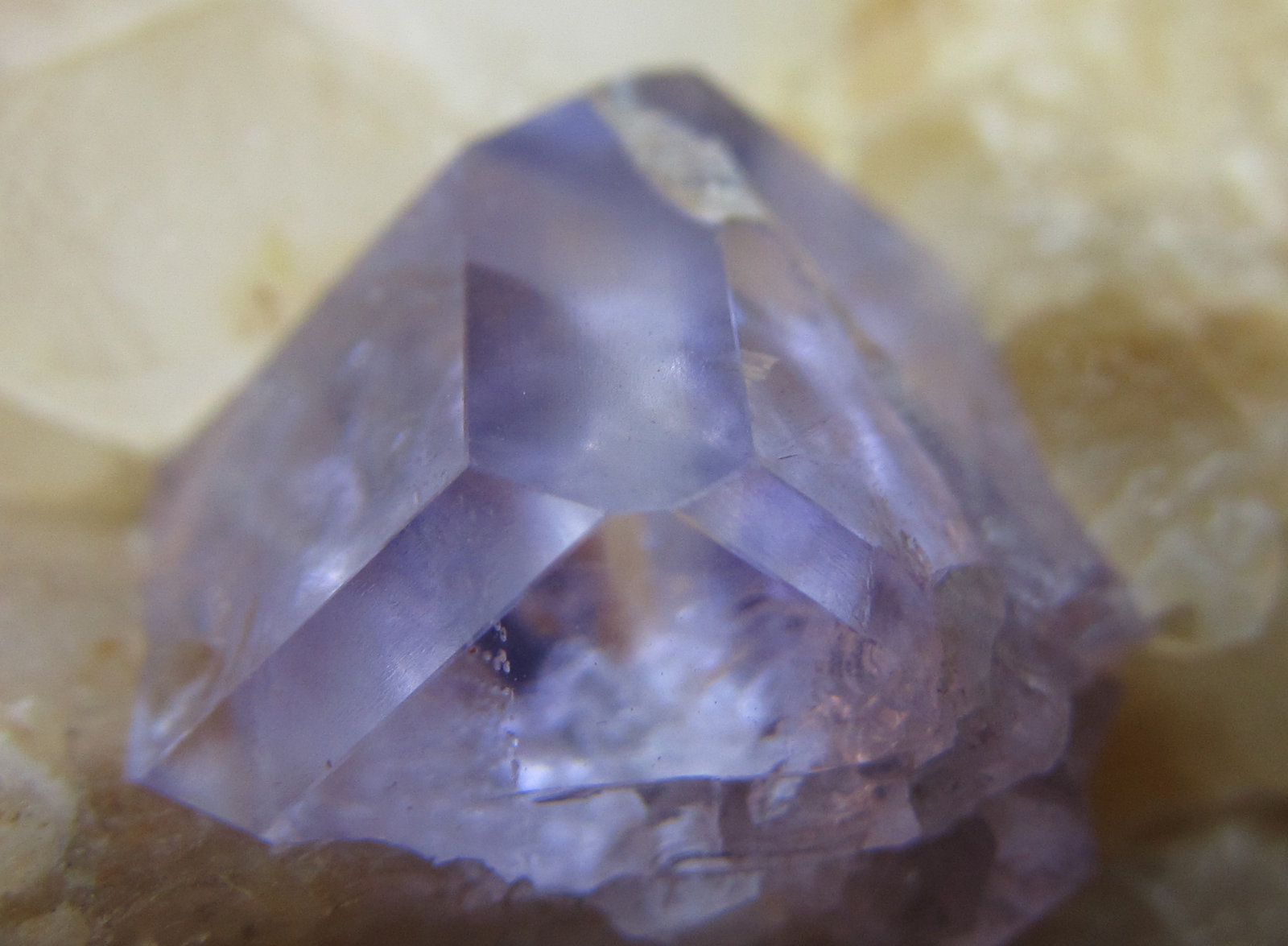 Fluorita
17 mm. ancho de campo
(Autor: prcantos)