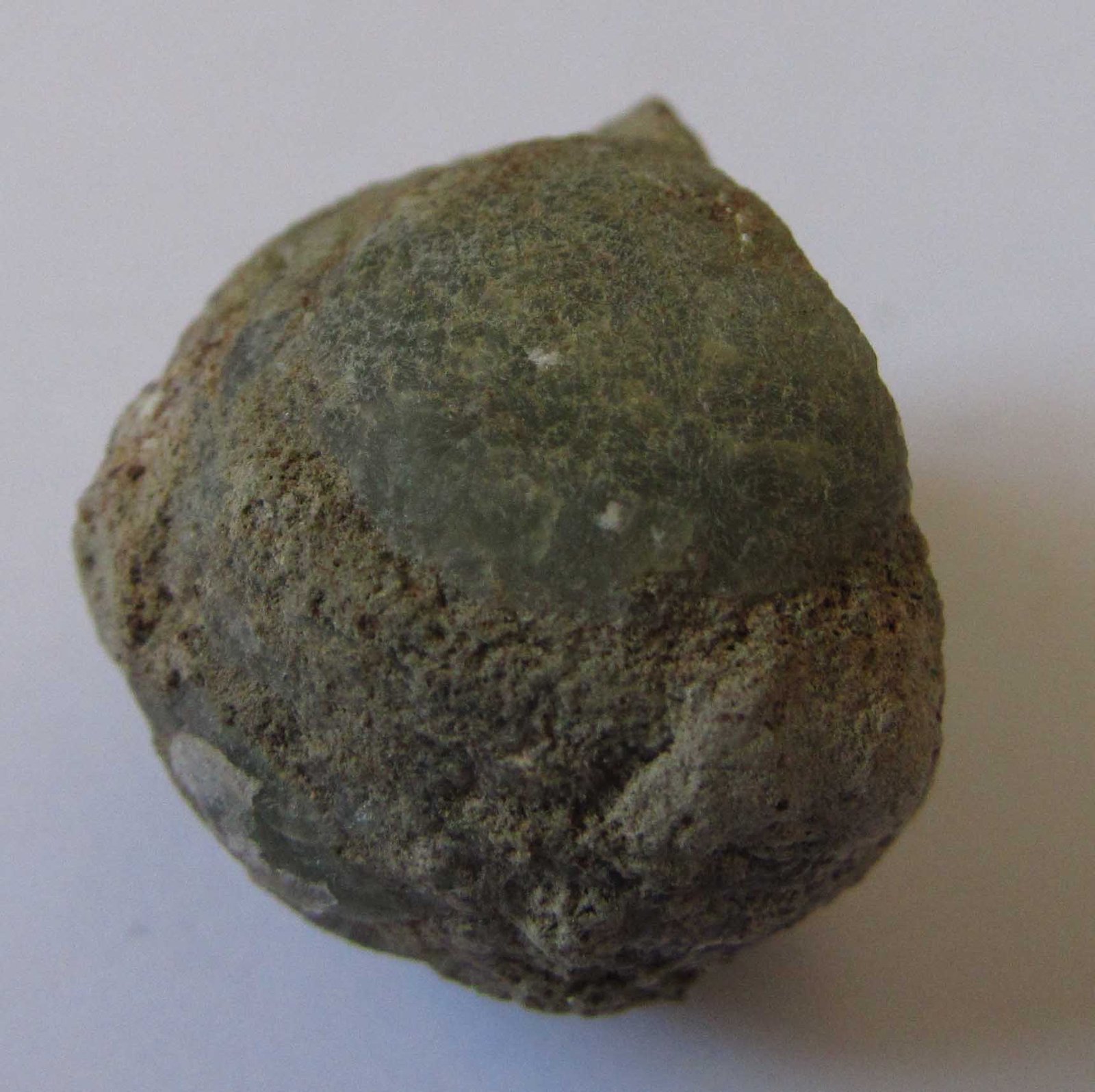 Prehnita
2 x 2 cm.
(Autor: prcantos)